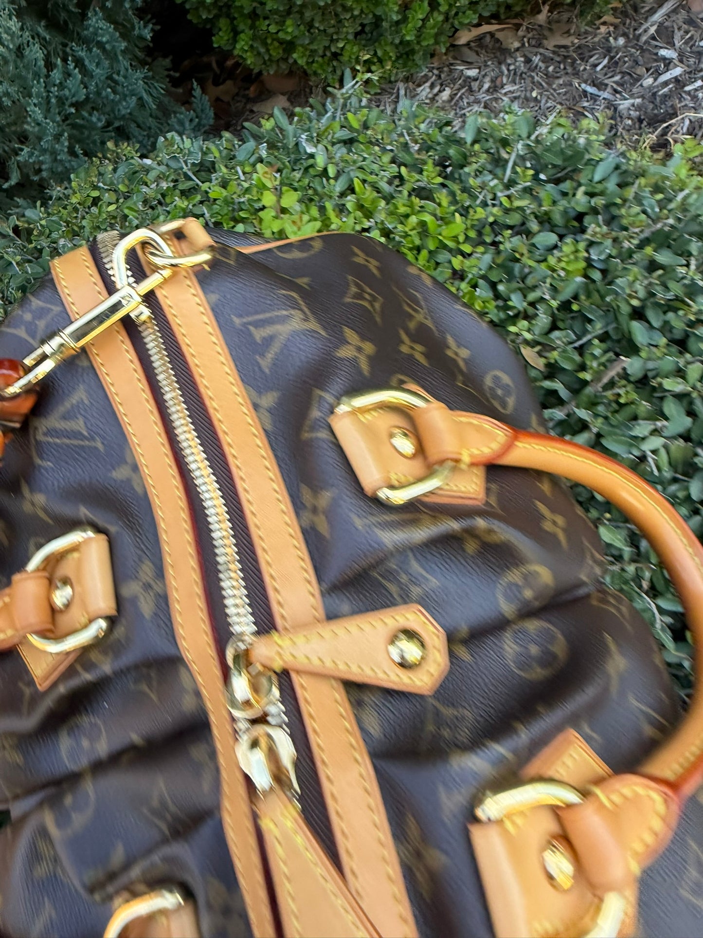 Louis Vuitton Stephen Bag – Limited Edition Monogram Canvas