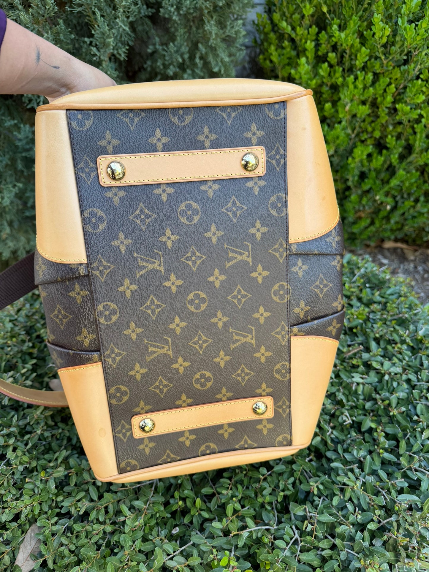 Louis Vuitton Stephen Bag – Limited Edition Monogram Canvas
