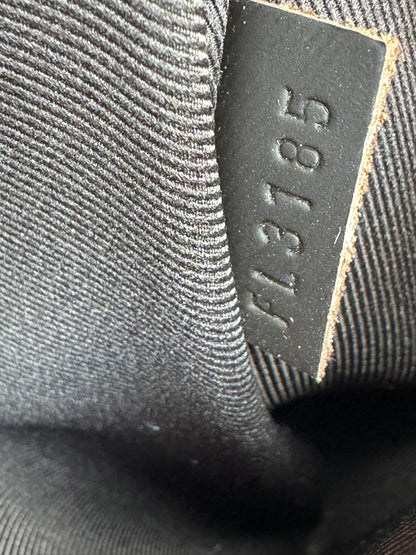 Louis Vuitton Jake Backpack in Damier Ebene Canvas