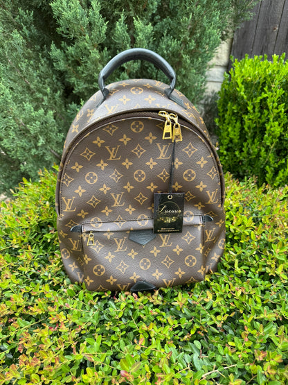 Louis Vuitton Palm Springs MM