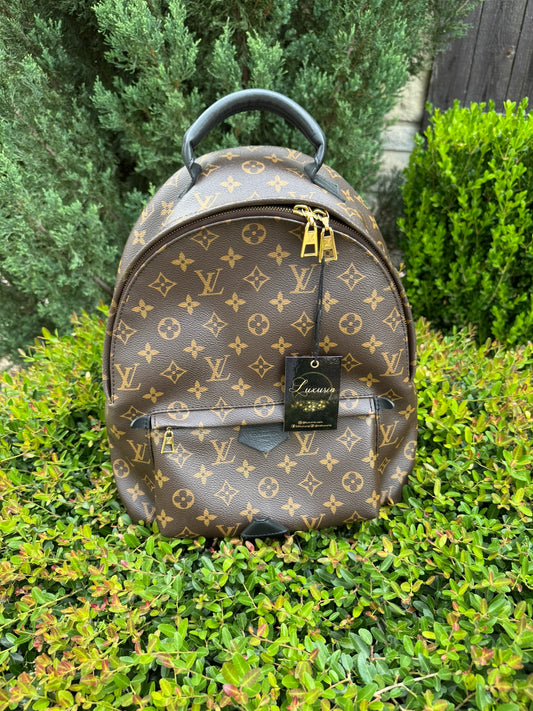 Louis Vuitton Palm Springs MM