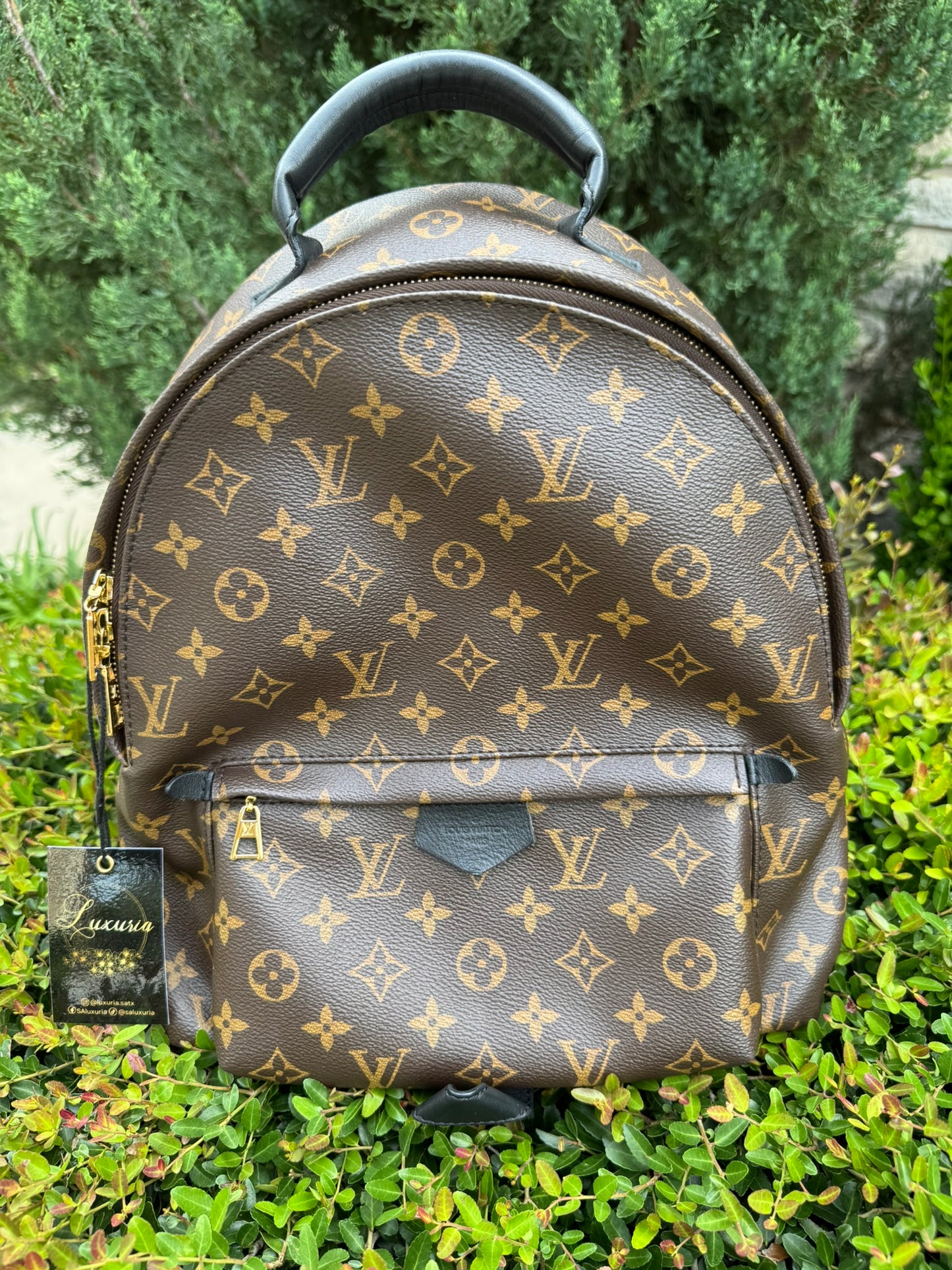 Louis Vuitton Palm Springs MM