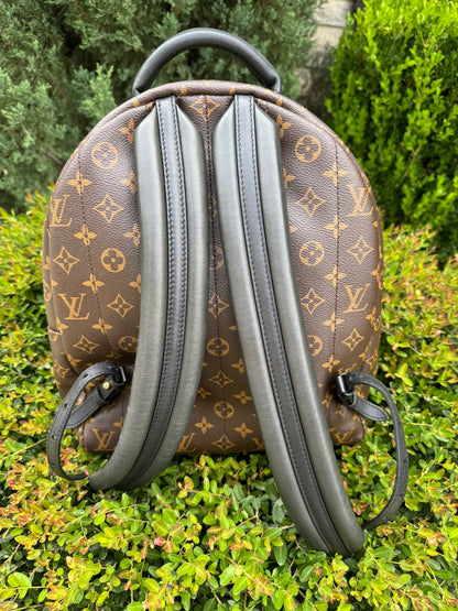 Louis Vuitton Palm Springs MM