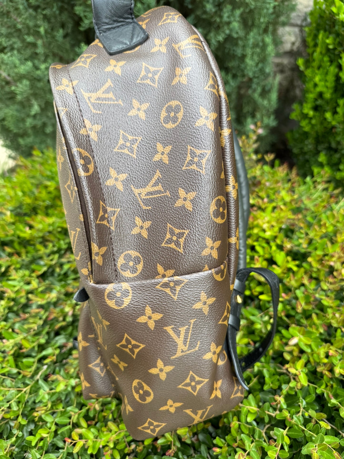 Louis Vuitton Palm Springs MM