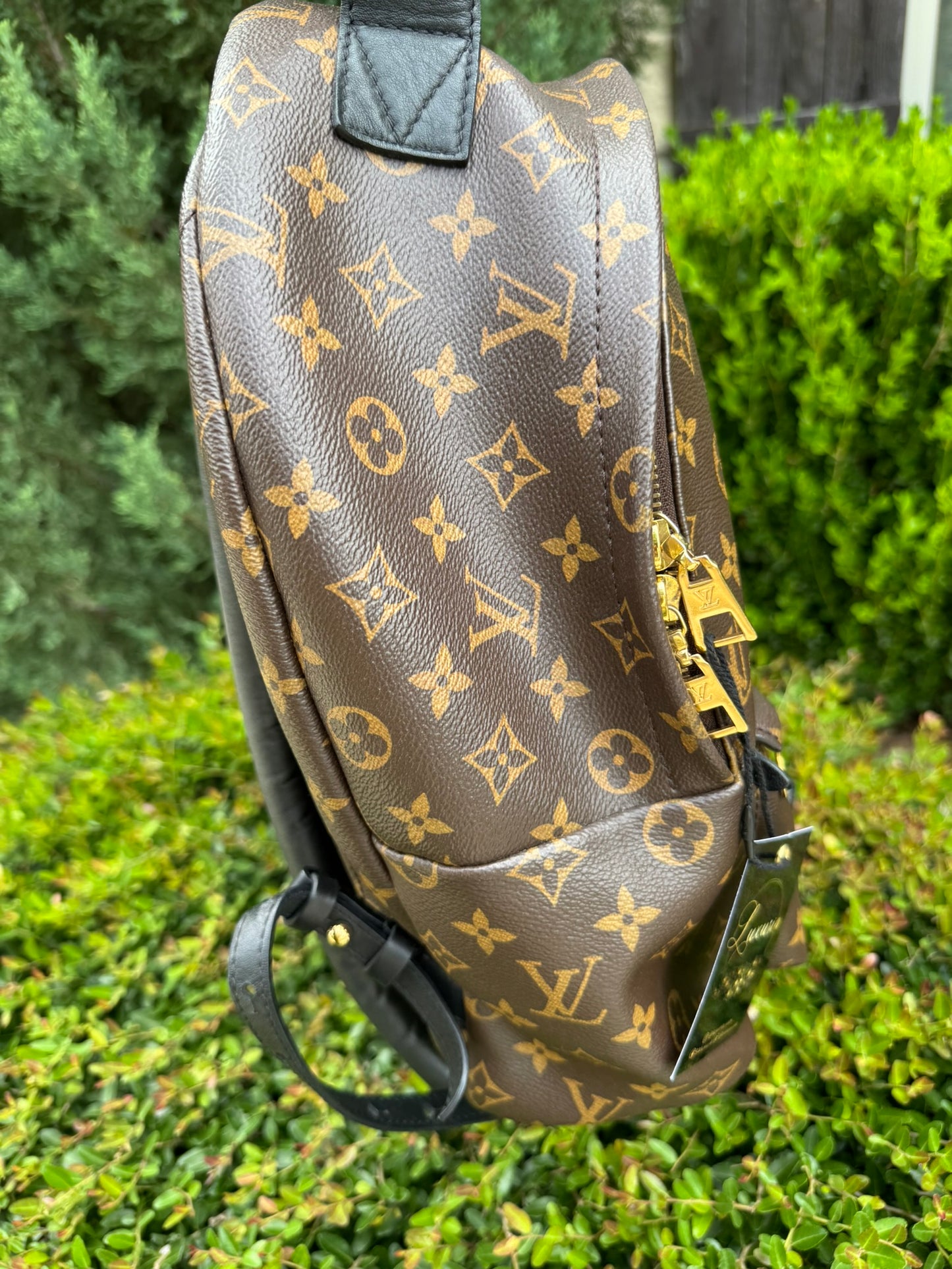 Louis Vuitton Palm Springs MM