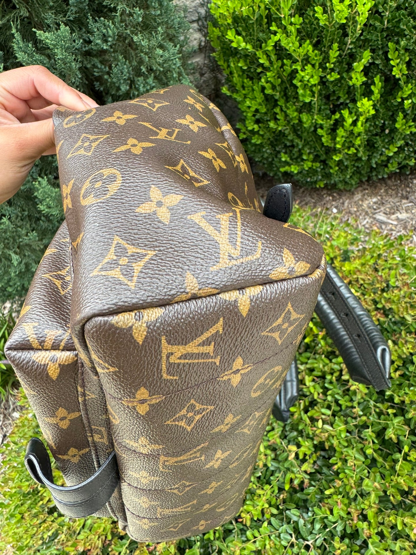 Louis Vuitton Palm Springs MM