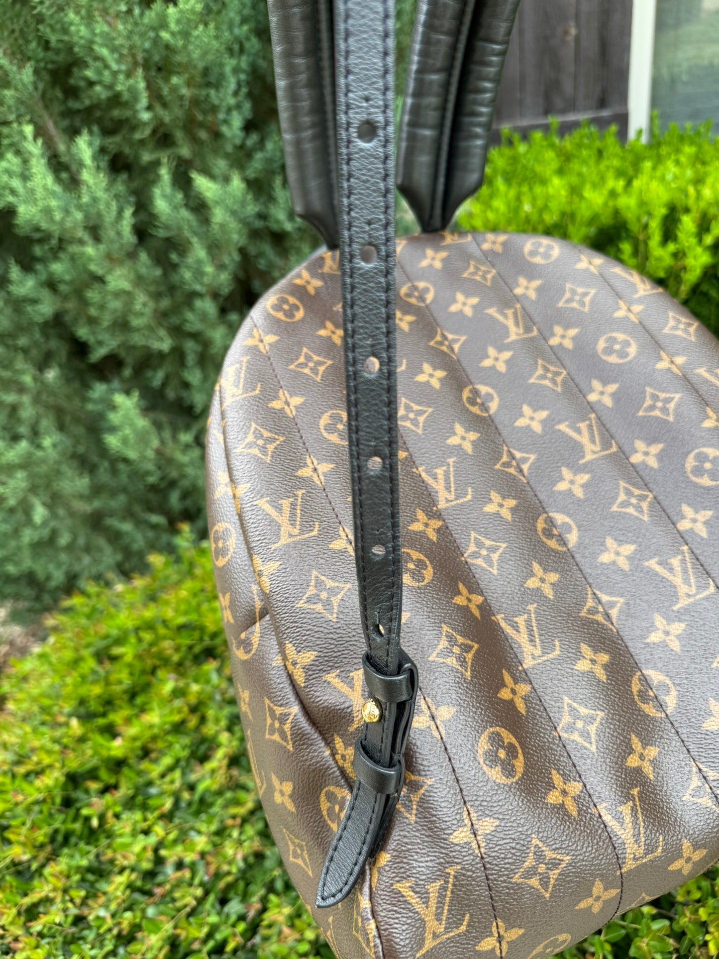 Louis Vuitton Palm Springs MM