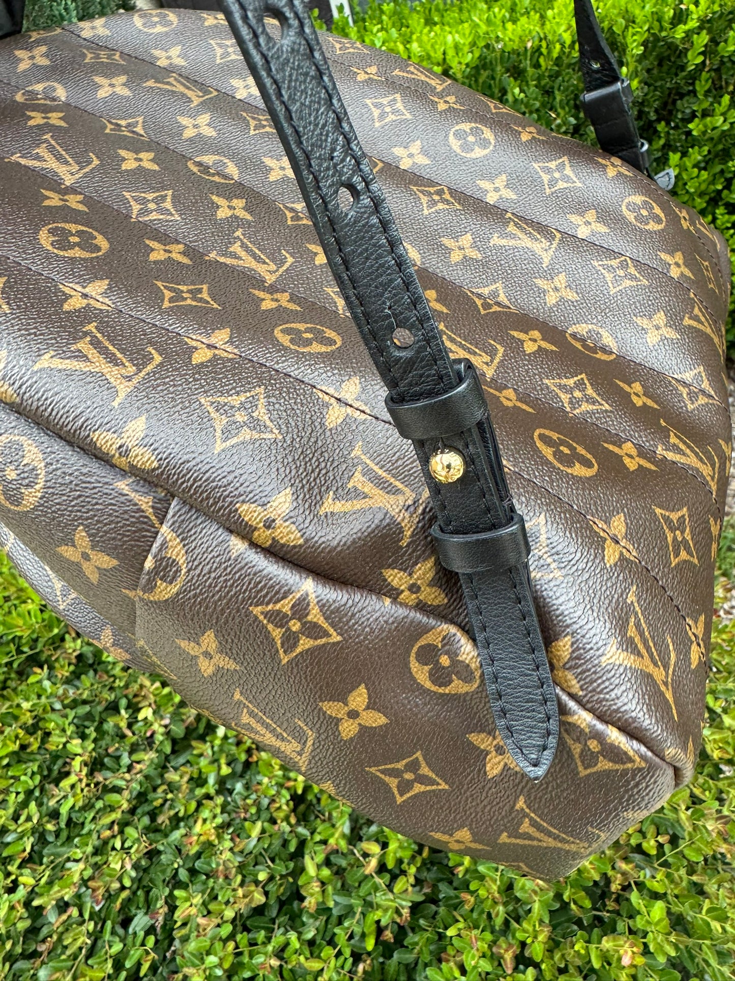 Louis Vuitton Palm Springs MM