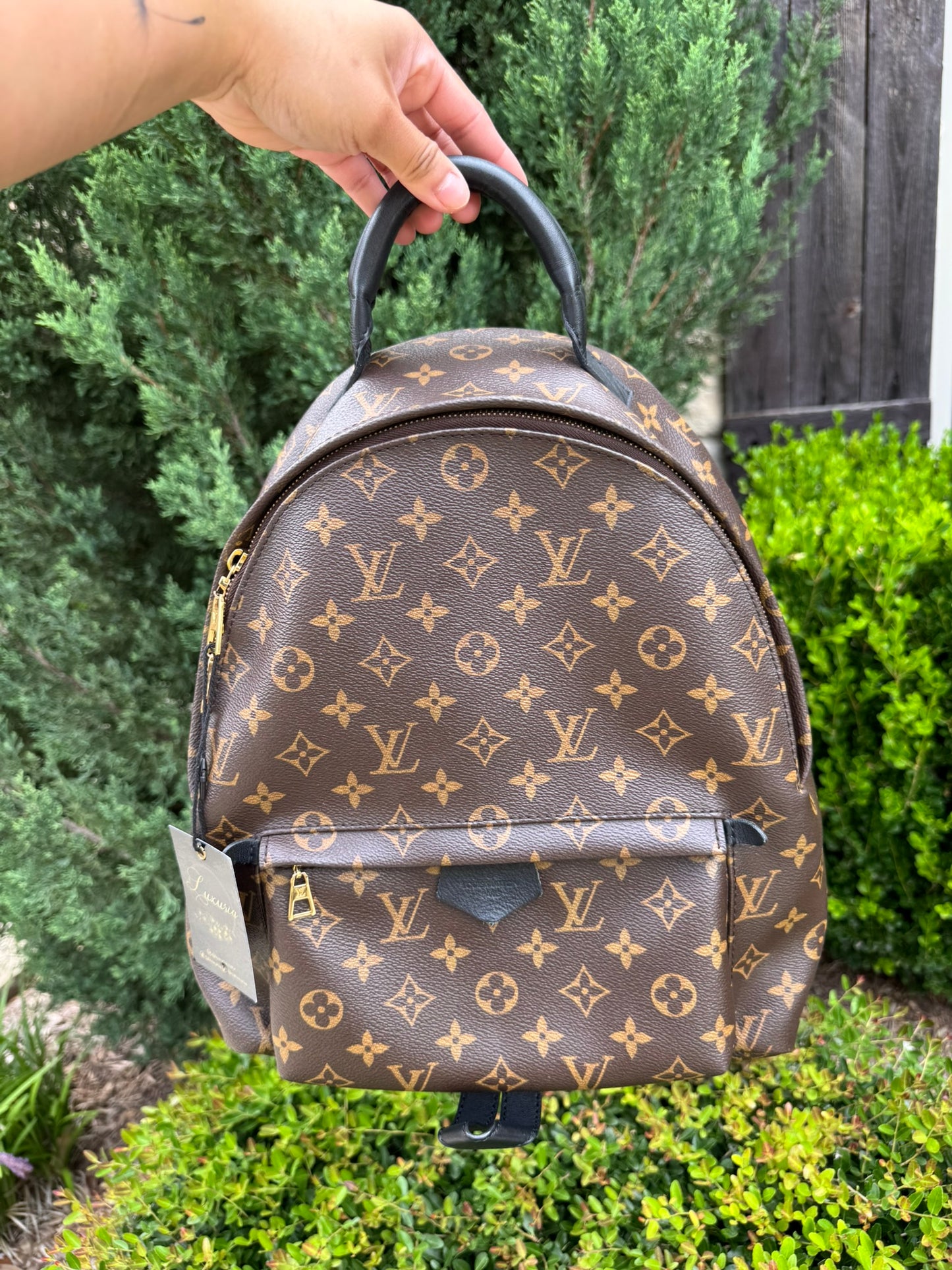 Louis Vuitton Palm Springs MM