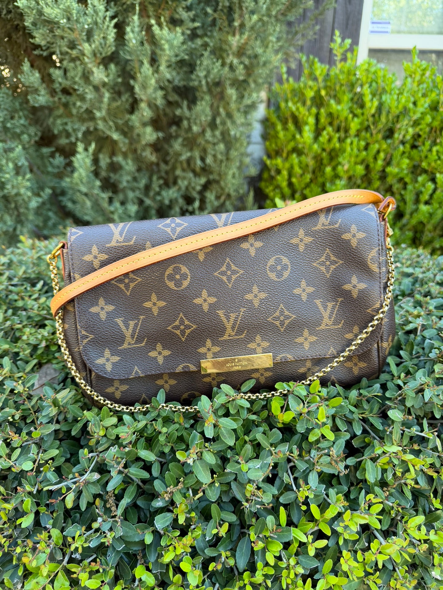 Louis Vuitton Favorite MM – Monogram Canvas
