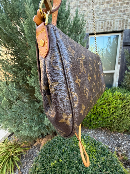 Louis Vuitton Favorite MM – Monogram Canvas