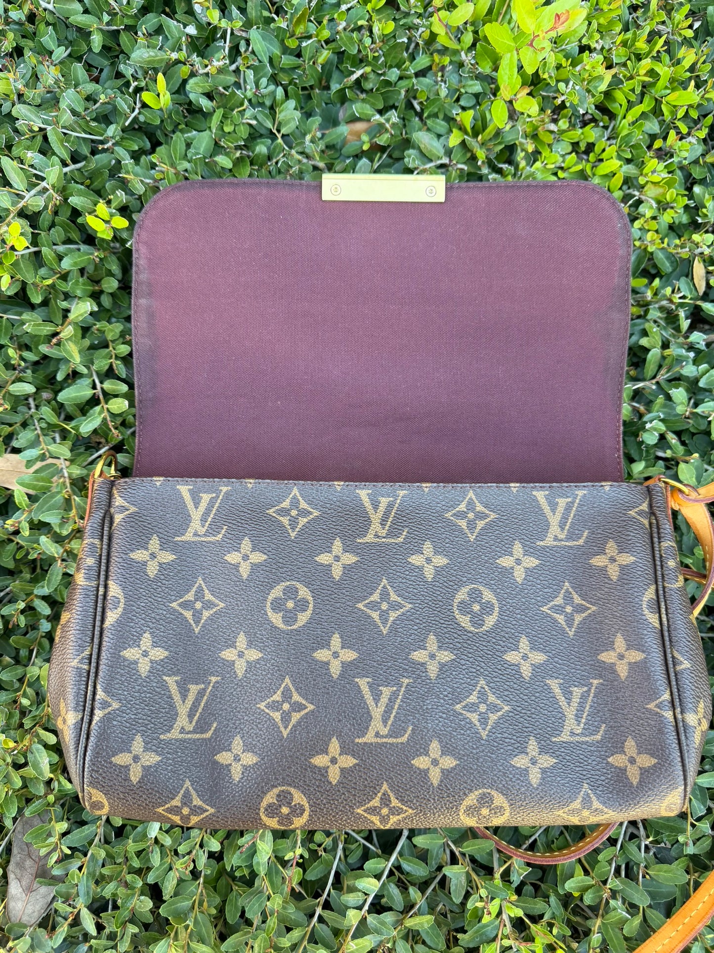 Louis Vuitton Favorite MM – Monogram Canvas