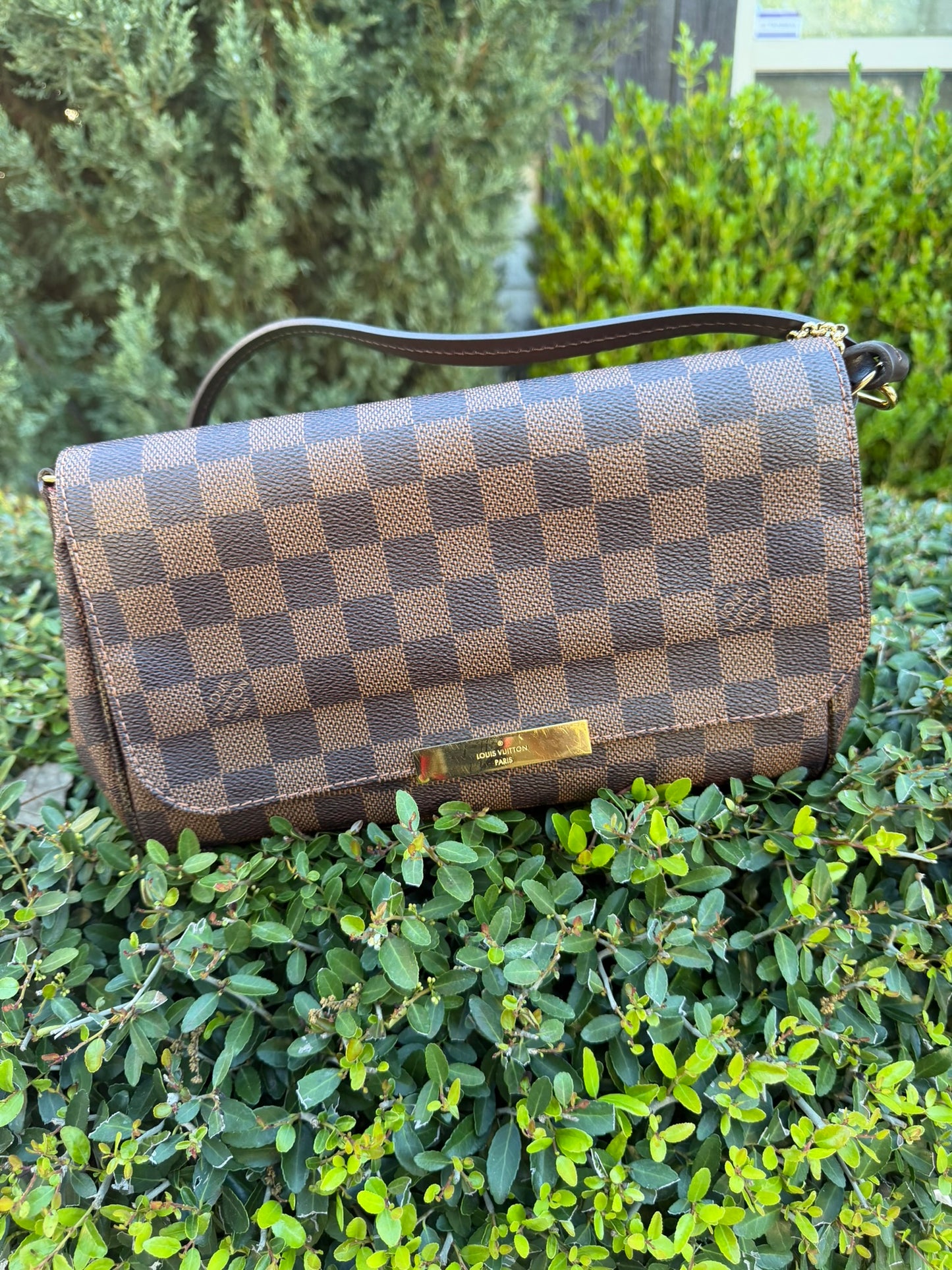 Louis Vuitton Favorite MM – Damier Ebene