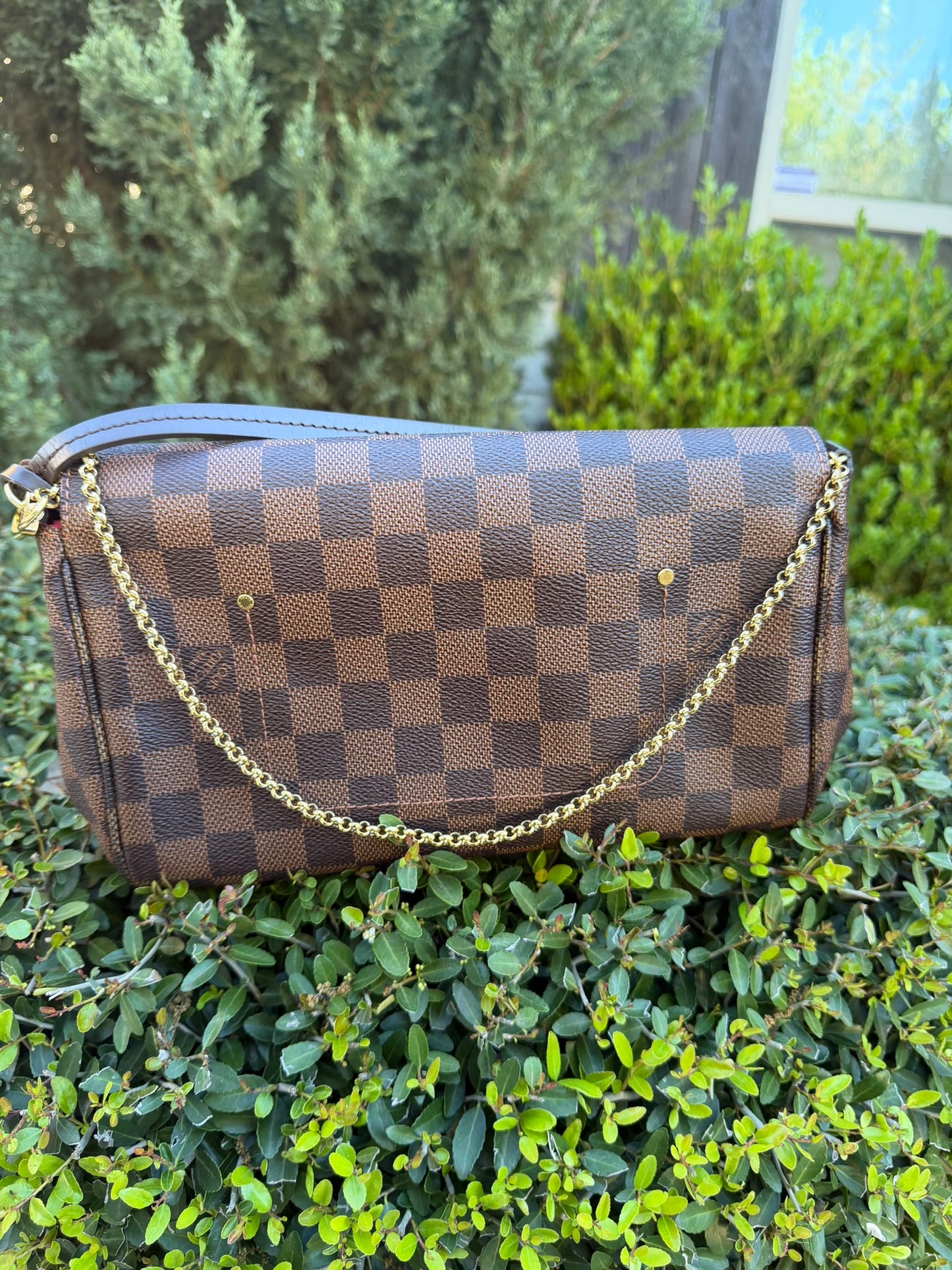 Louis Vuitton Favorite MM – Damier Ebene