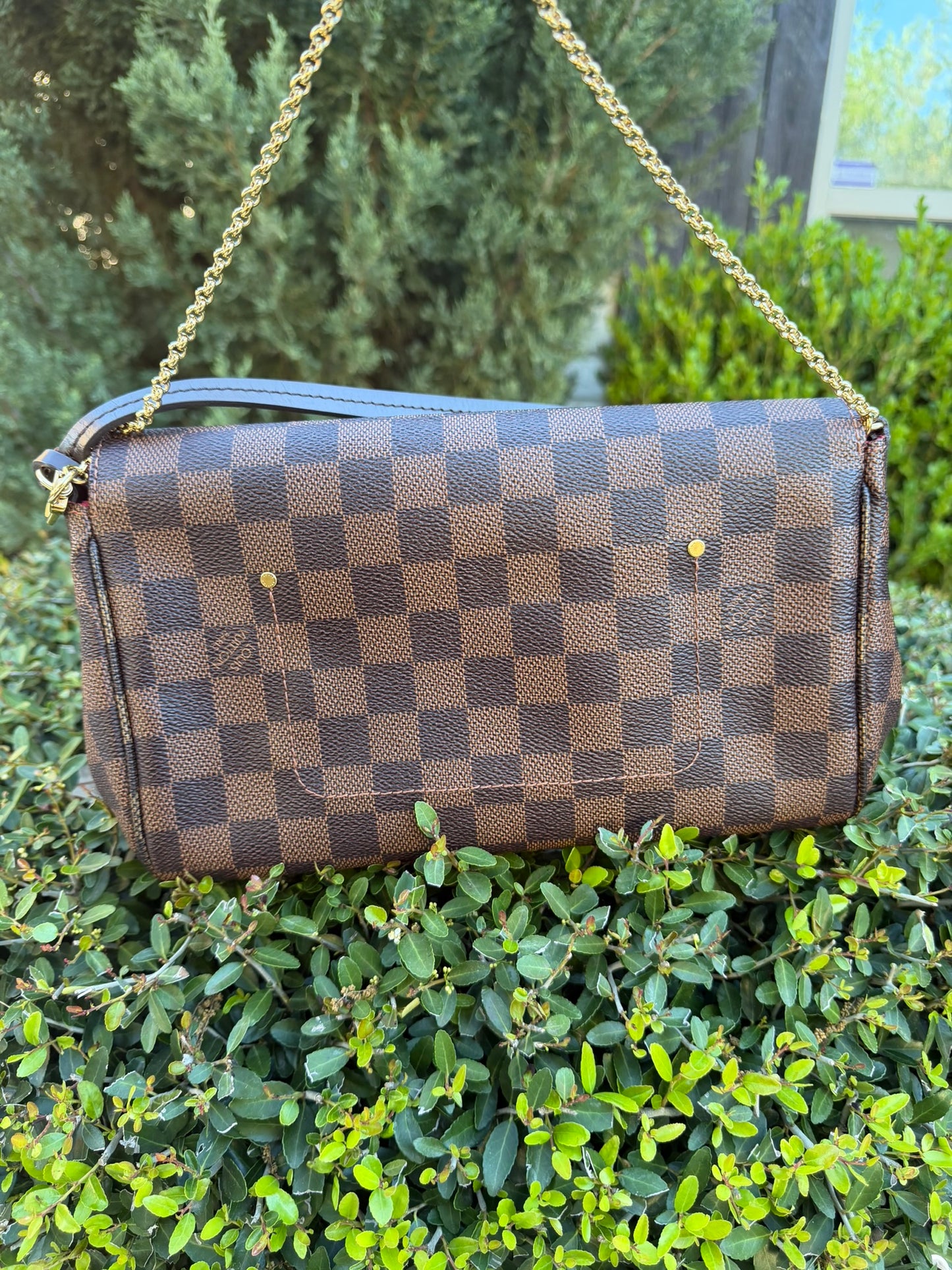 Louis Vuitton Favorite MM – Damier Ebene