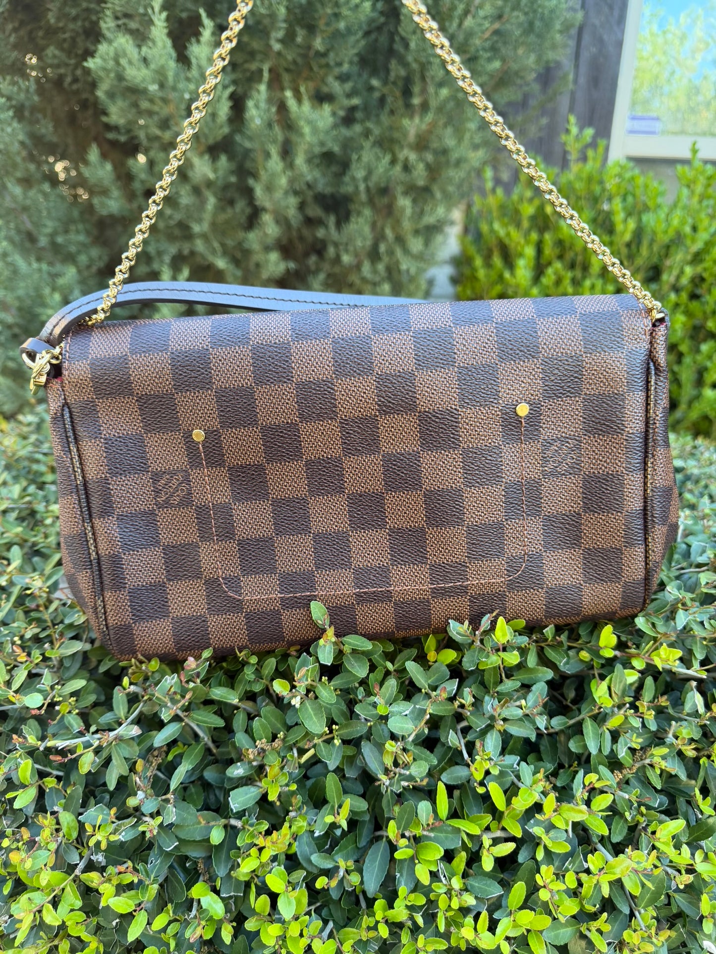 Louis Vuitton Favorite MM – Damier Ebene