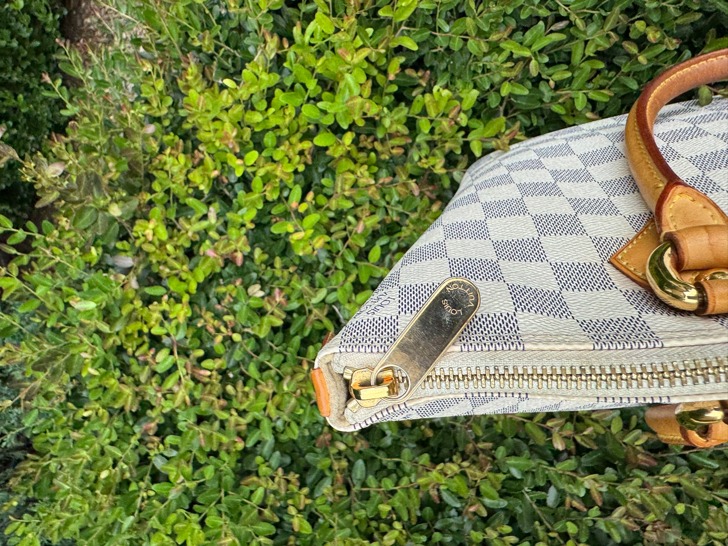 Louis Vuitton Saleya MM in Damier Azur Canvas