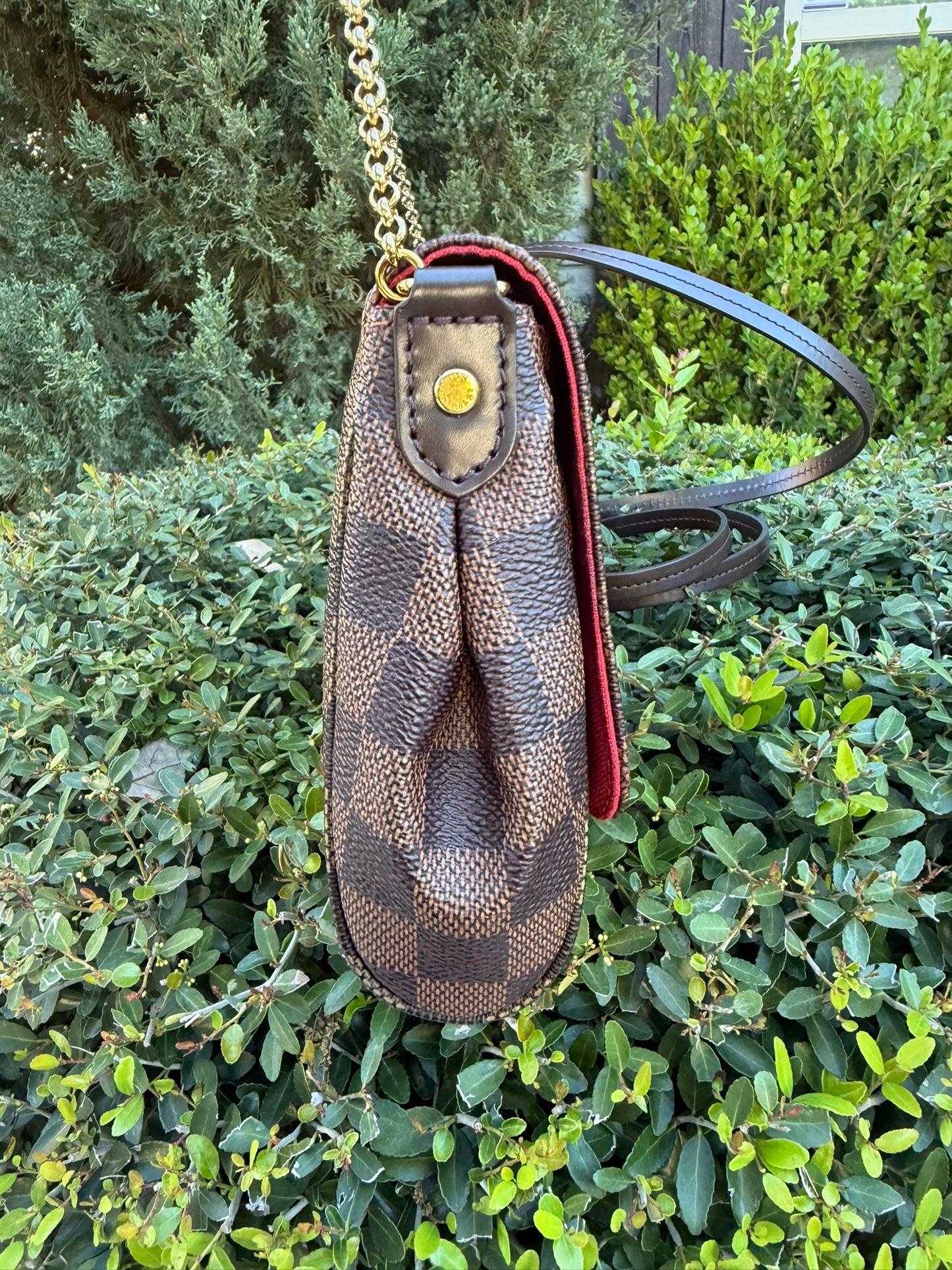 Louis Vuitton Favorite MM – Damier Ebene