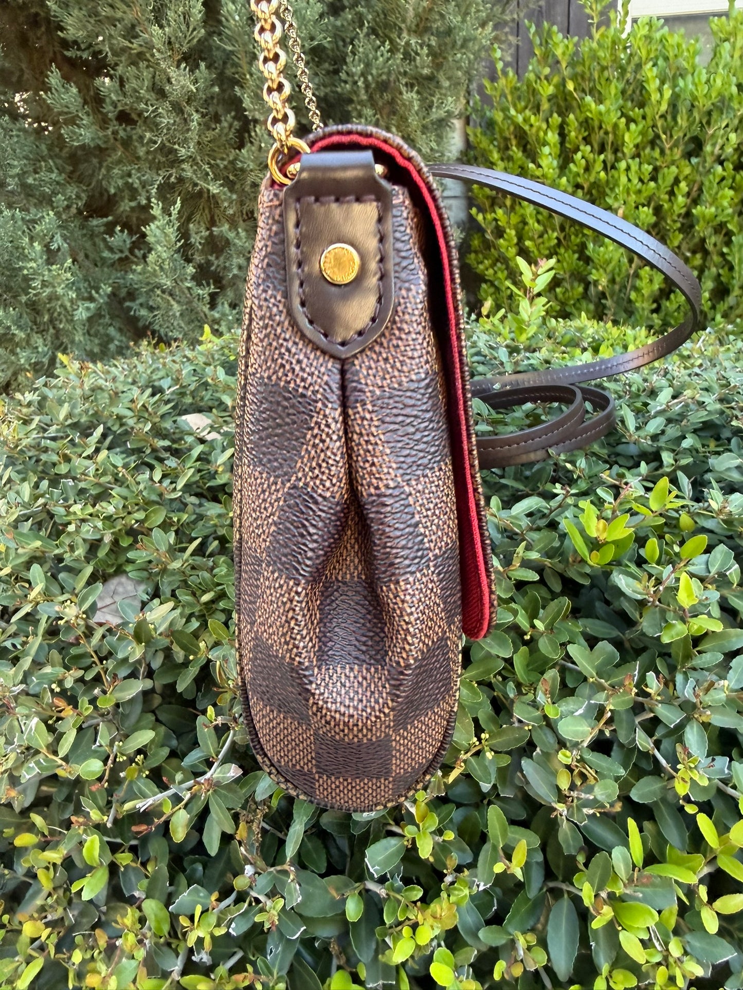 Louis Vuitton Favorite MM – Damier Ebene