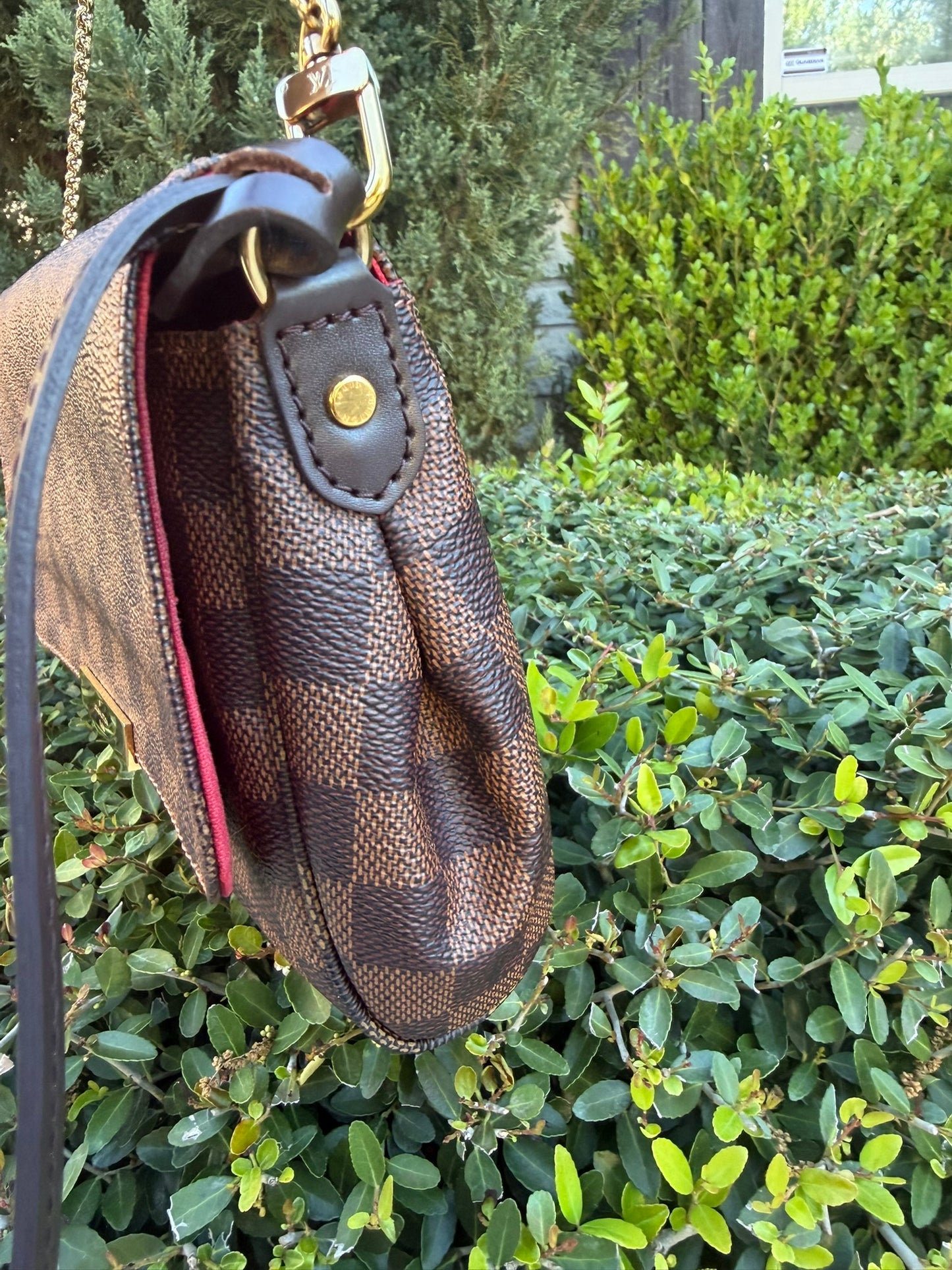 Louis Vuitton Favorite MM – Damier Ebene