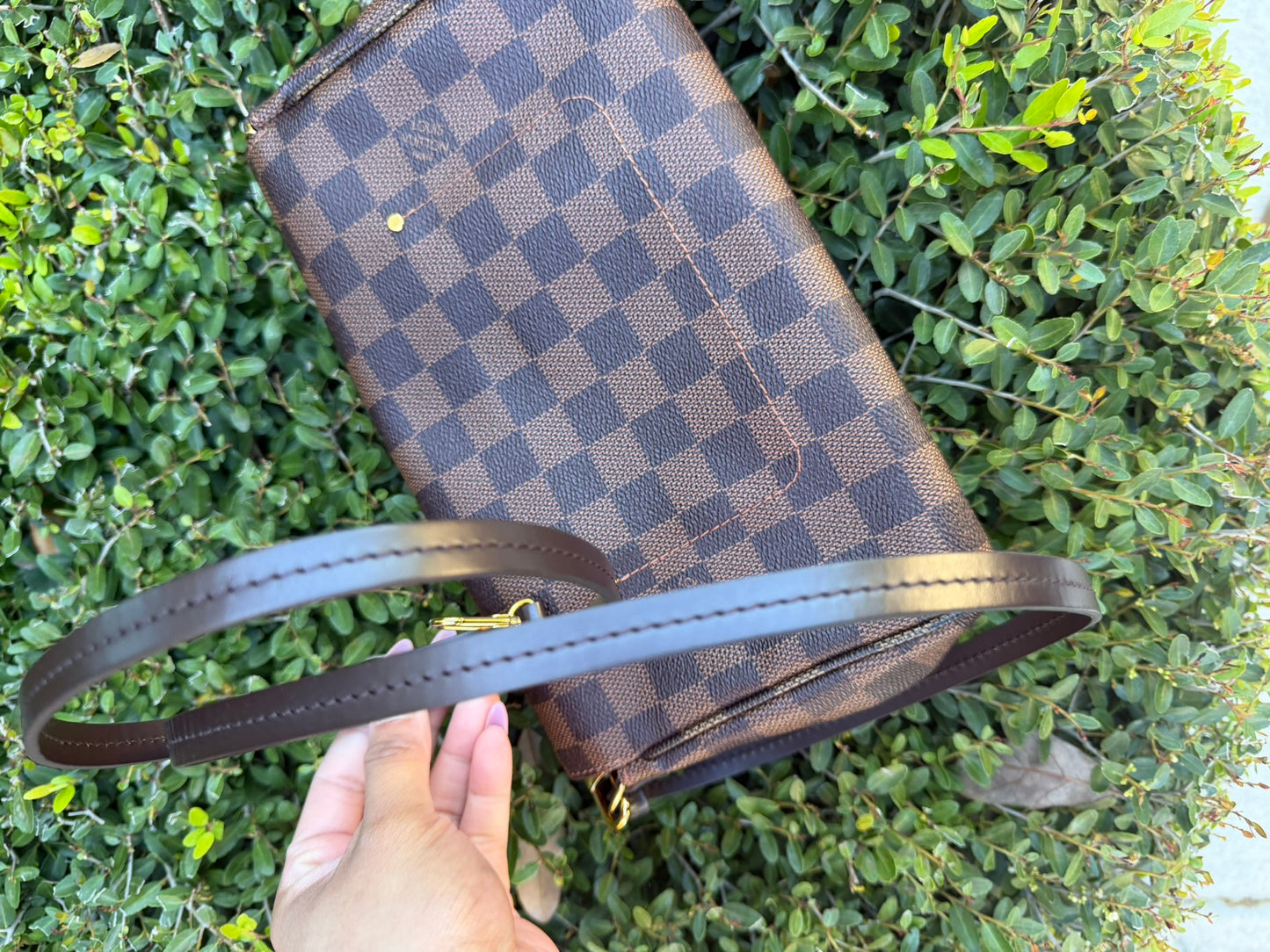 Louis Vuitton Favorite MM – Damier Ebene