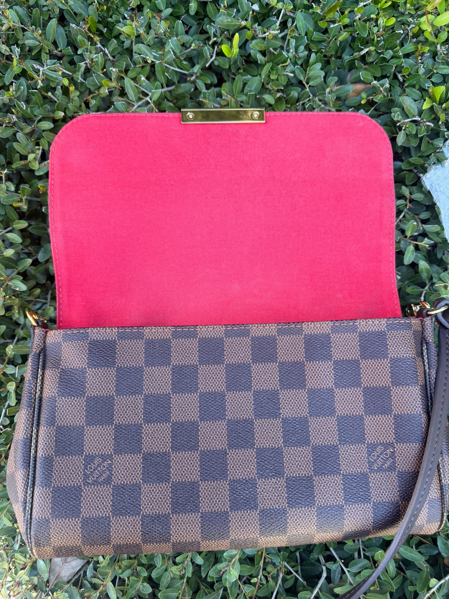 Louis Vuitton Favorite MM – Damier Ebene