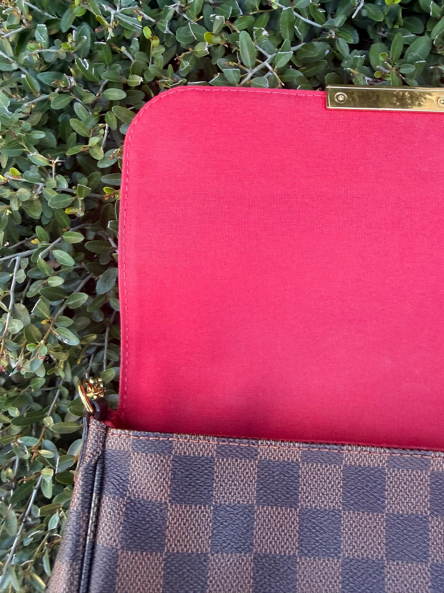 Louis Vuitton Favorite MM – Damier Ebene