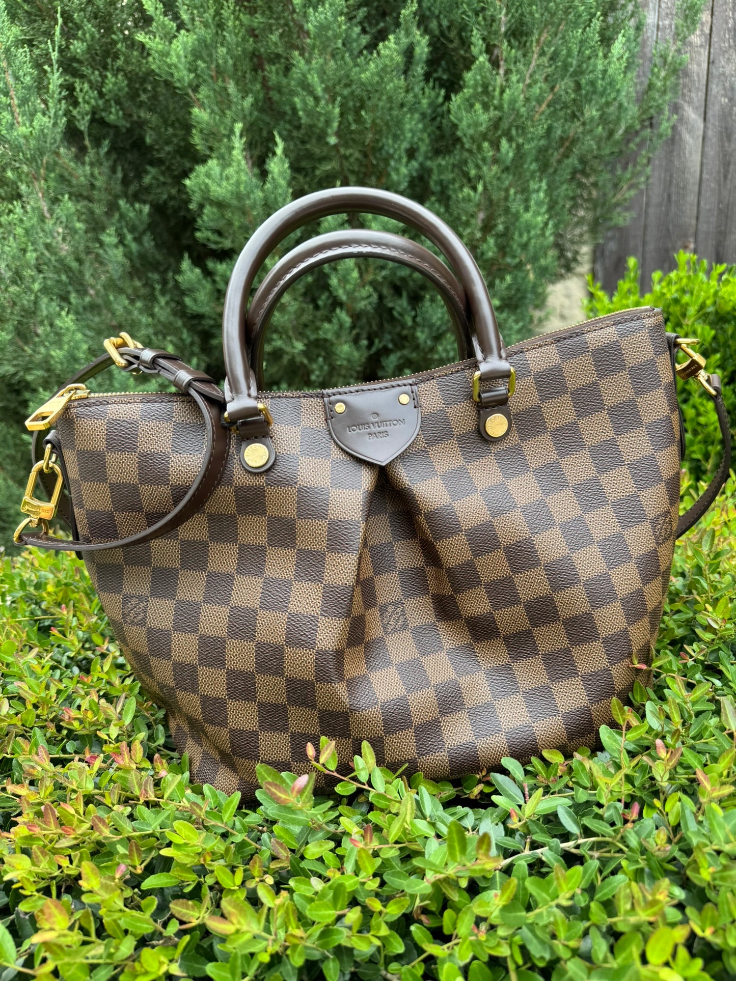 Louis Vuitton Siena MM in Damier Ebene Canvas