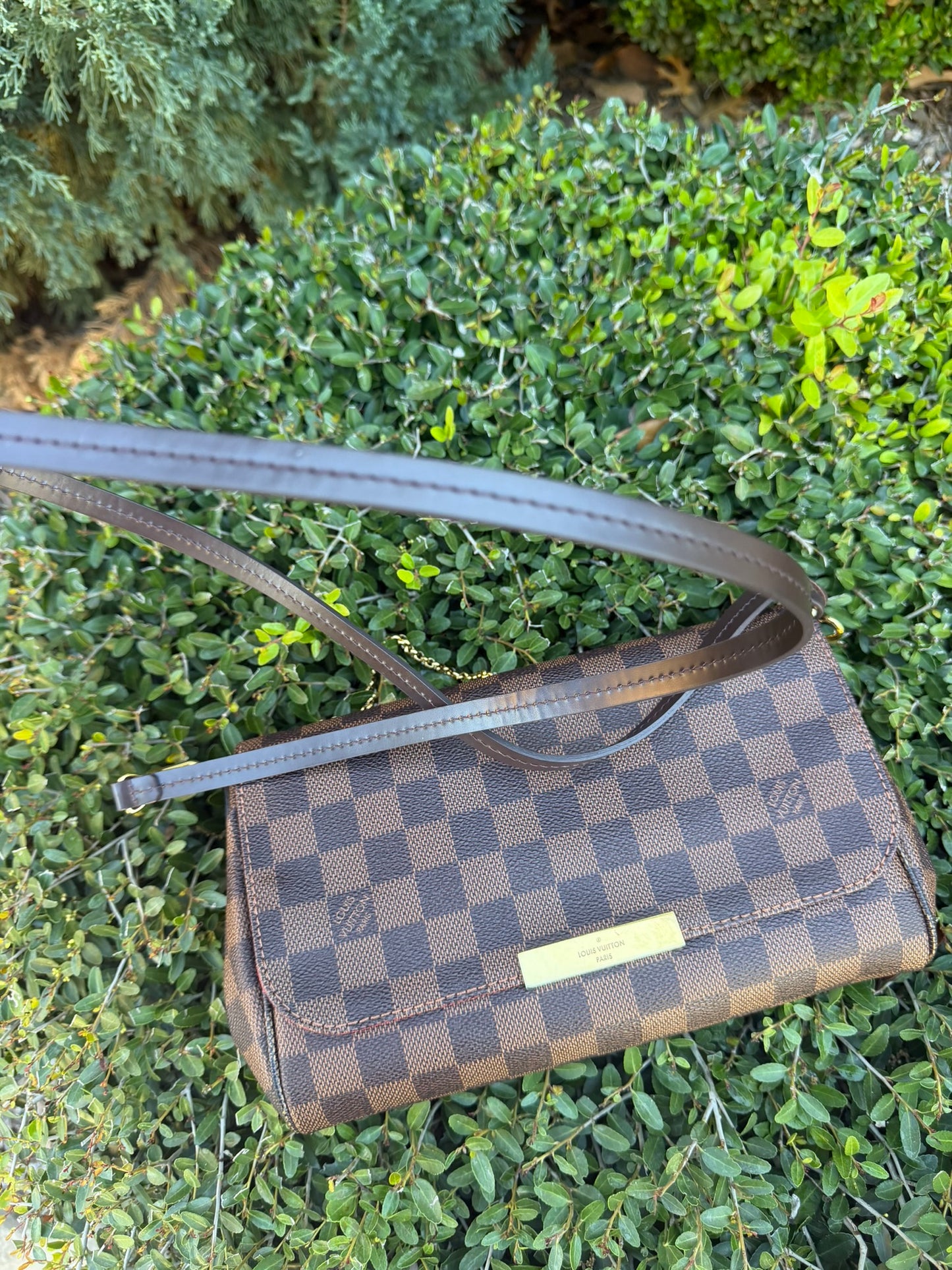 Louis Vuitton Favorite MM – Damier Ebene