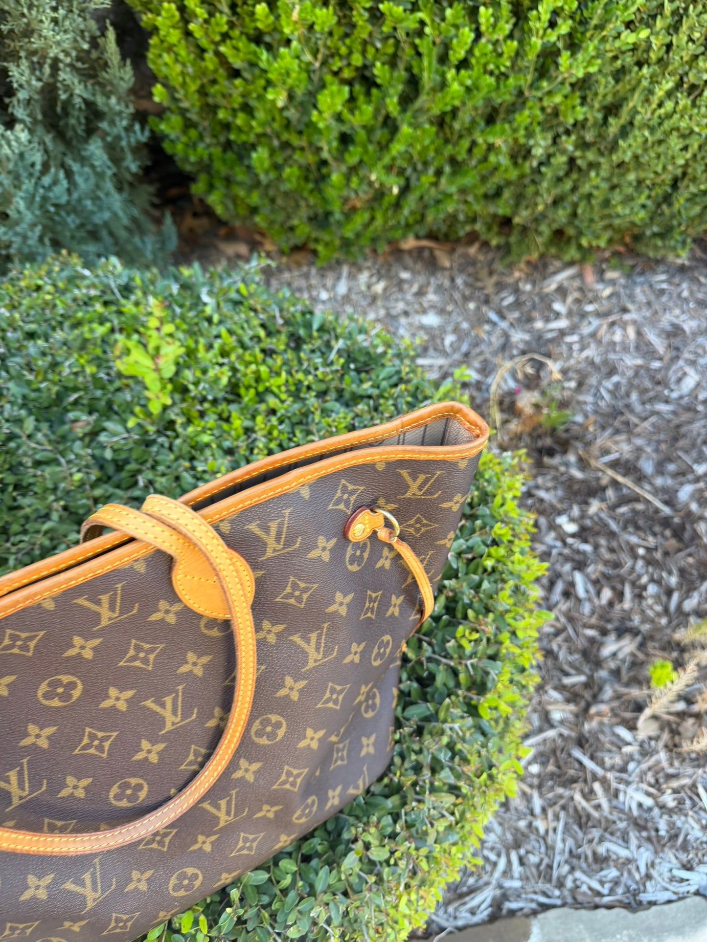 Louis Vuitton Neverfull MM in Monogram Canvas