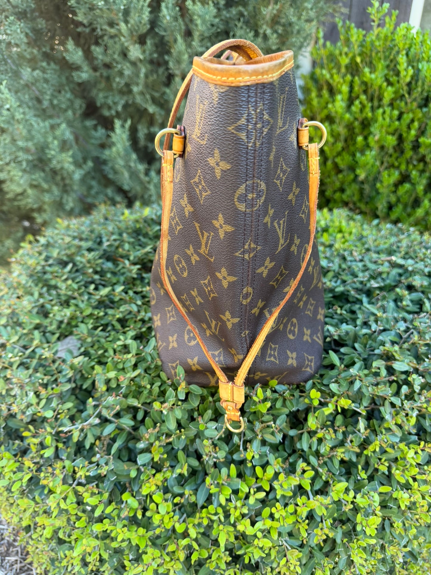 Louis Vuitton Neverfull MM in Monogram Canvas