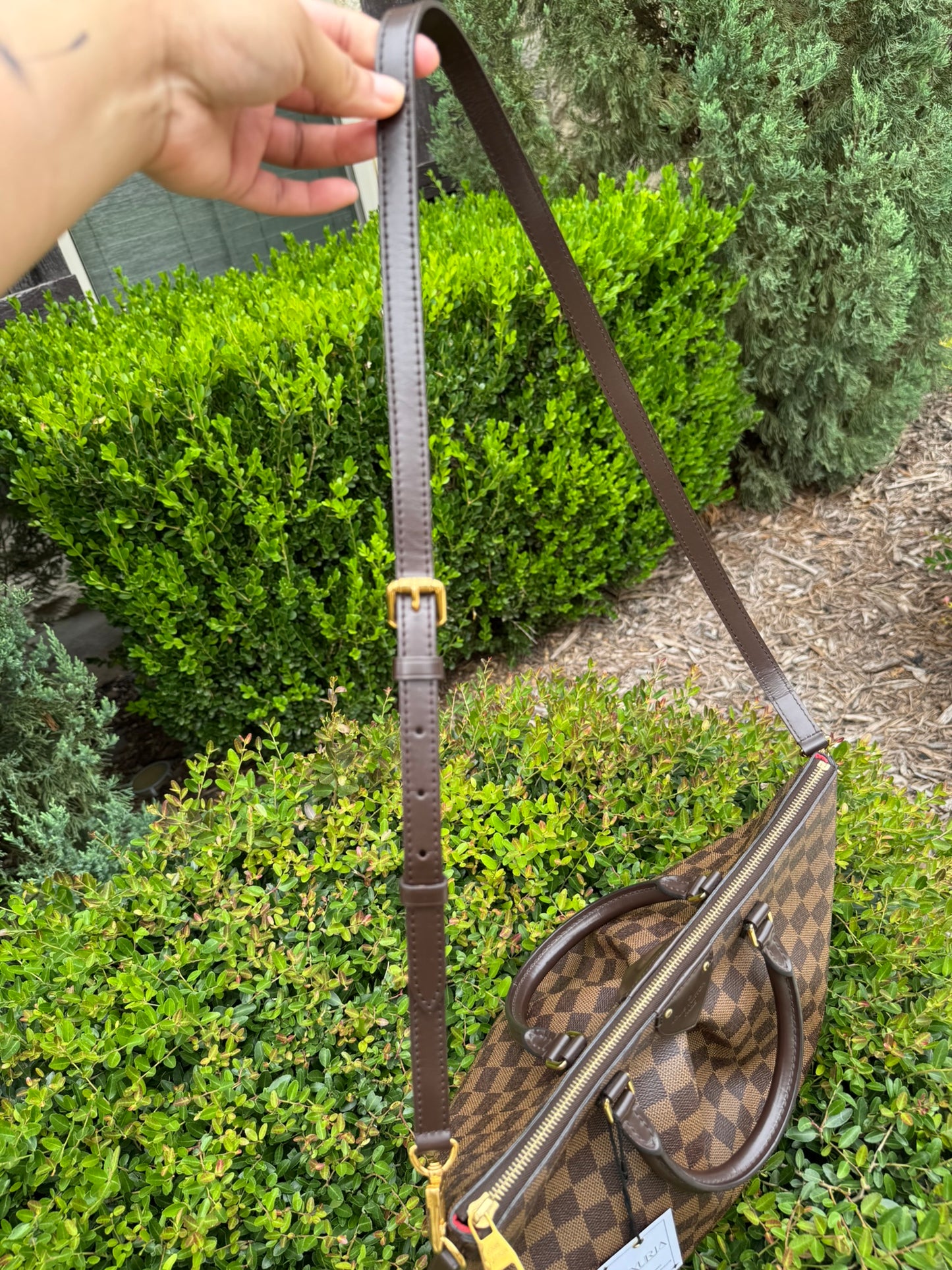 Louis Vuitton Siena MM in Damier Ebene Canvas