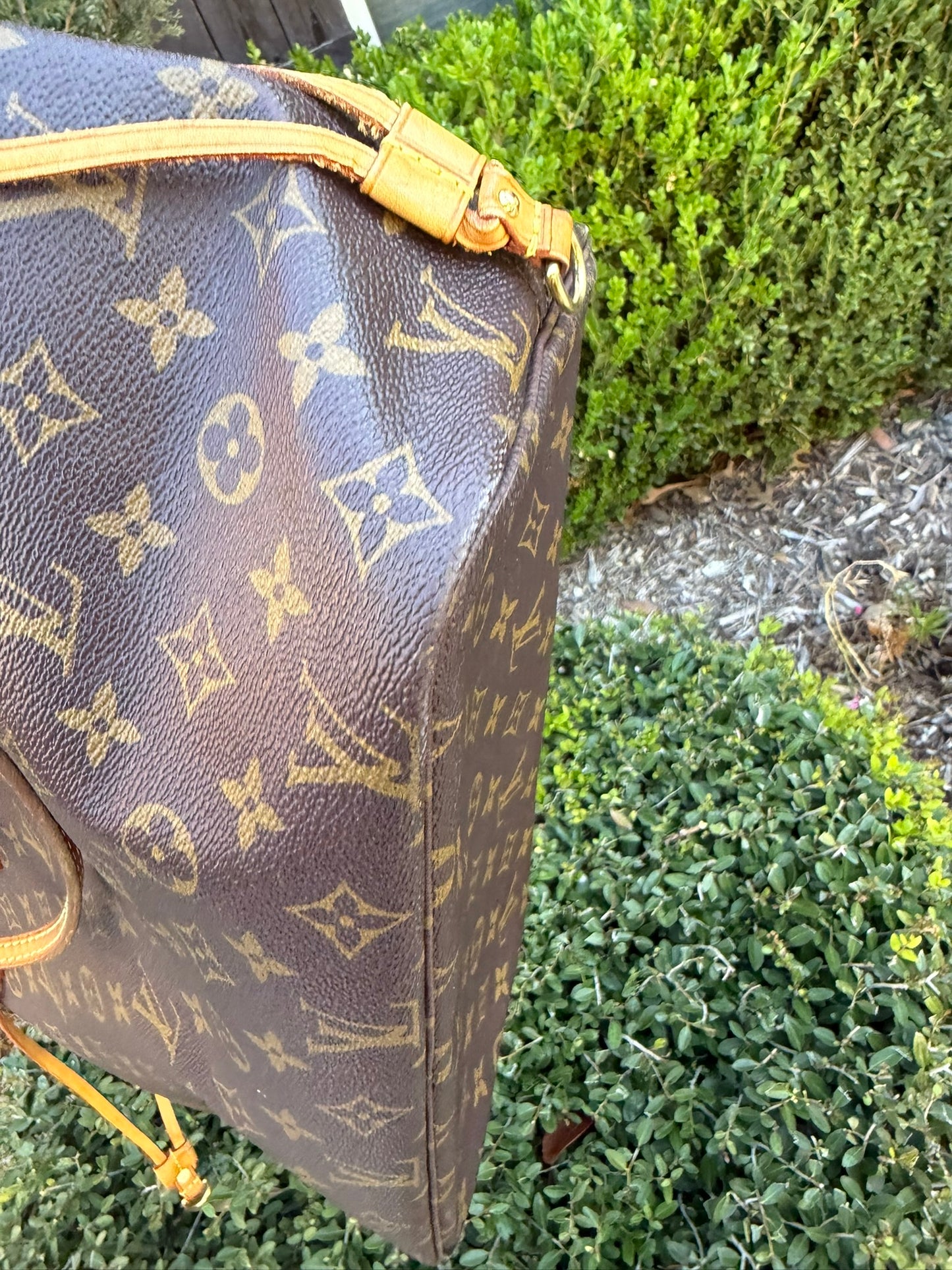 Louis Vuitton Neverfull MM in Monogram Canvas