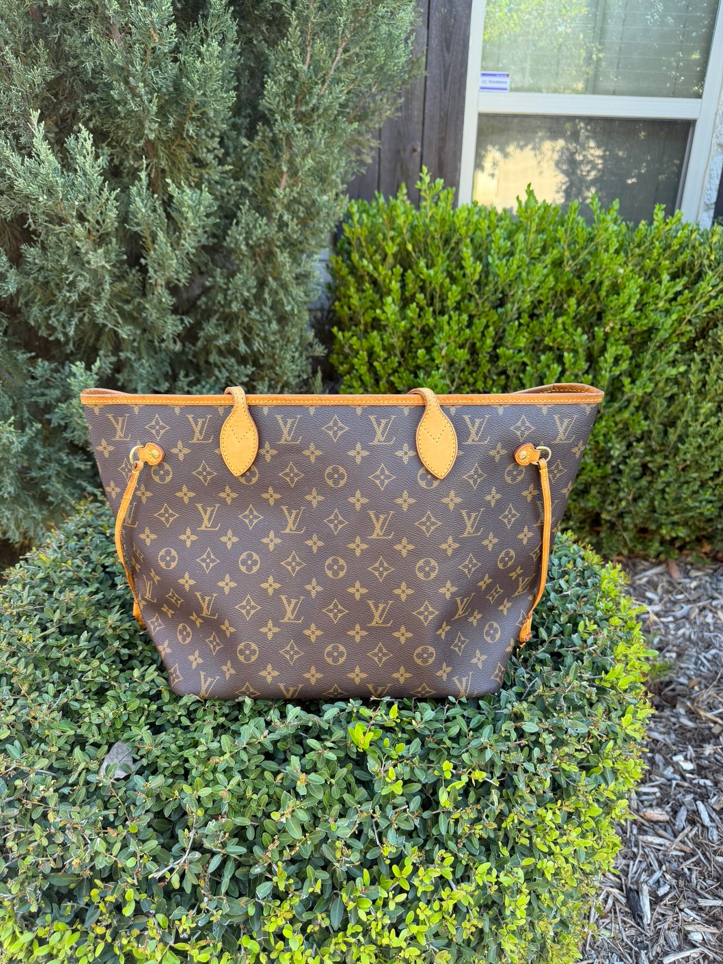 Louis Vuitton Neverfull MM in Monogram Canvas