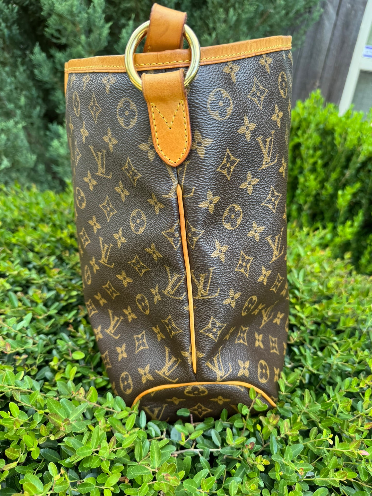 Louis Vuitton Delightful MM