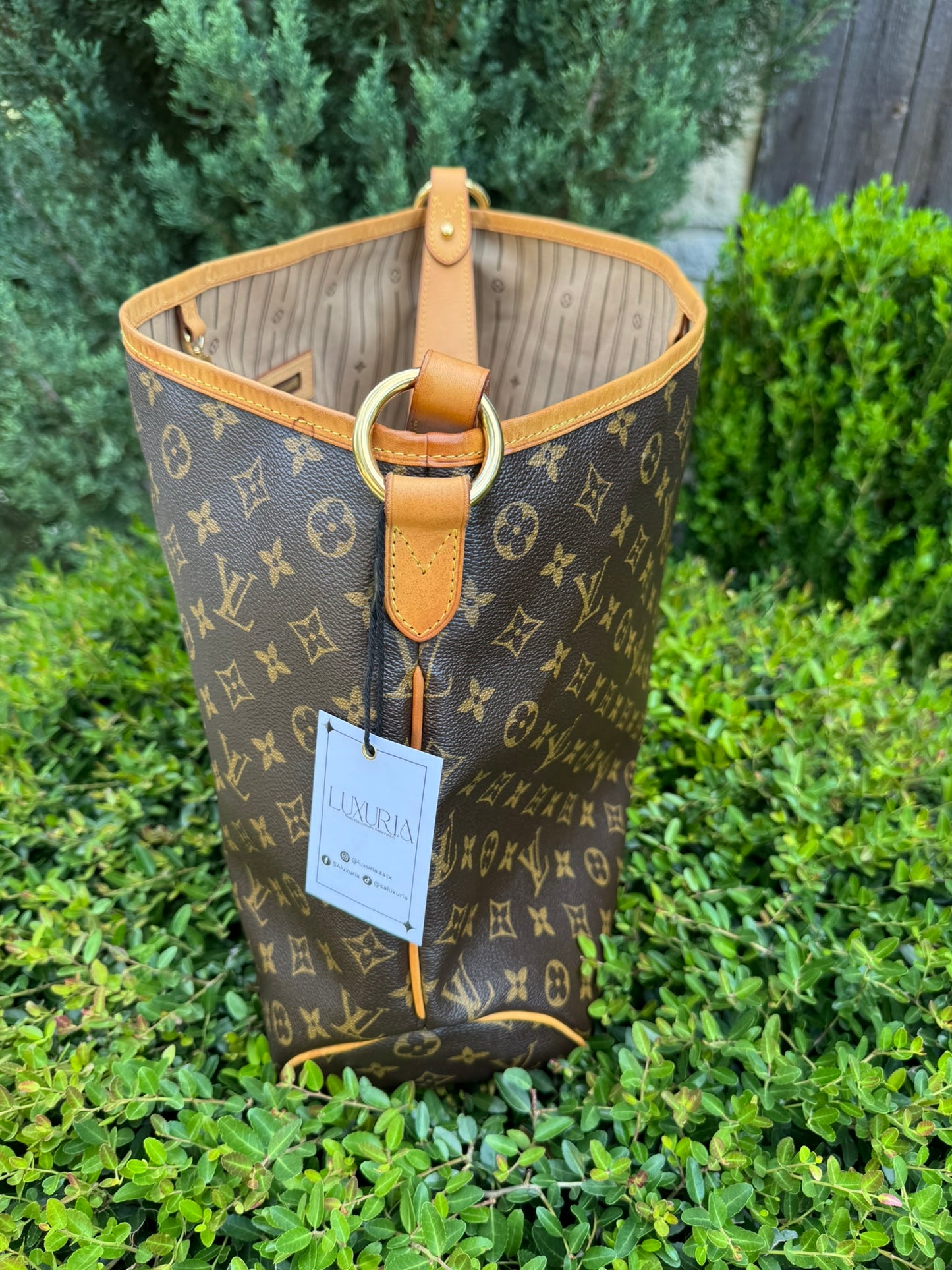 Louis Vuitton Delightful MM