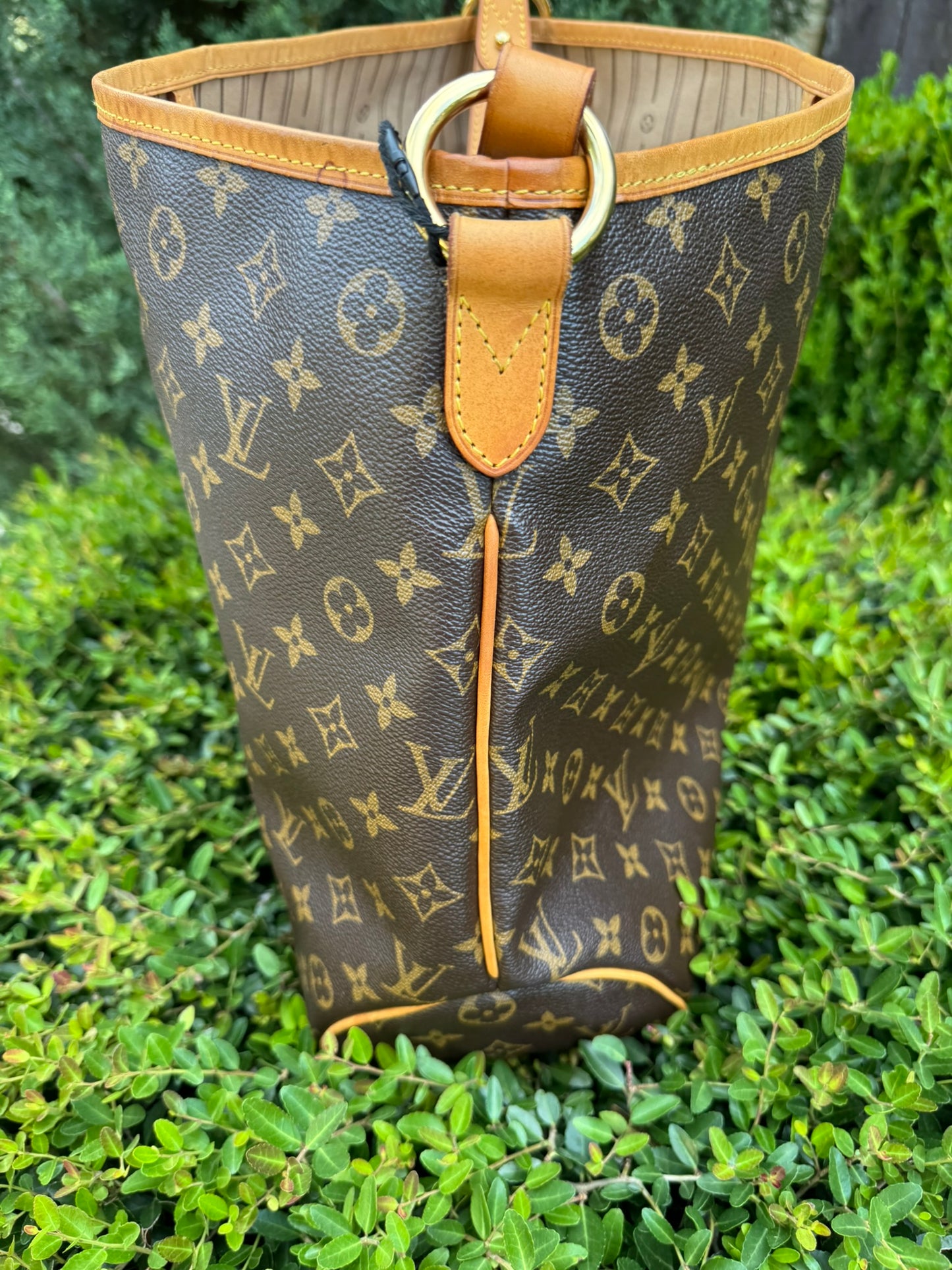 Louis Vuitton Delightful MM