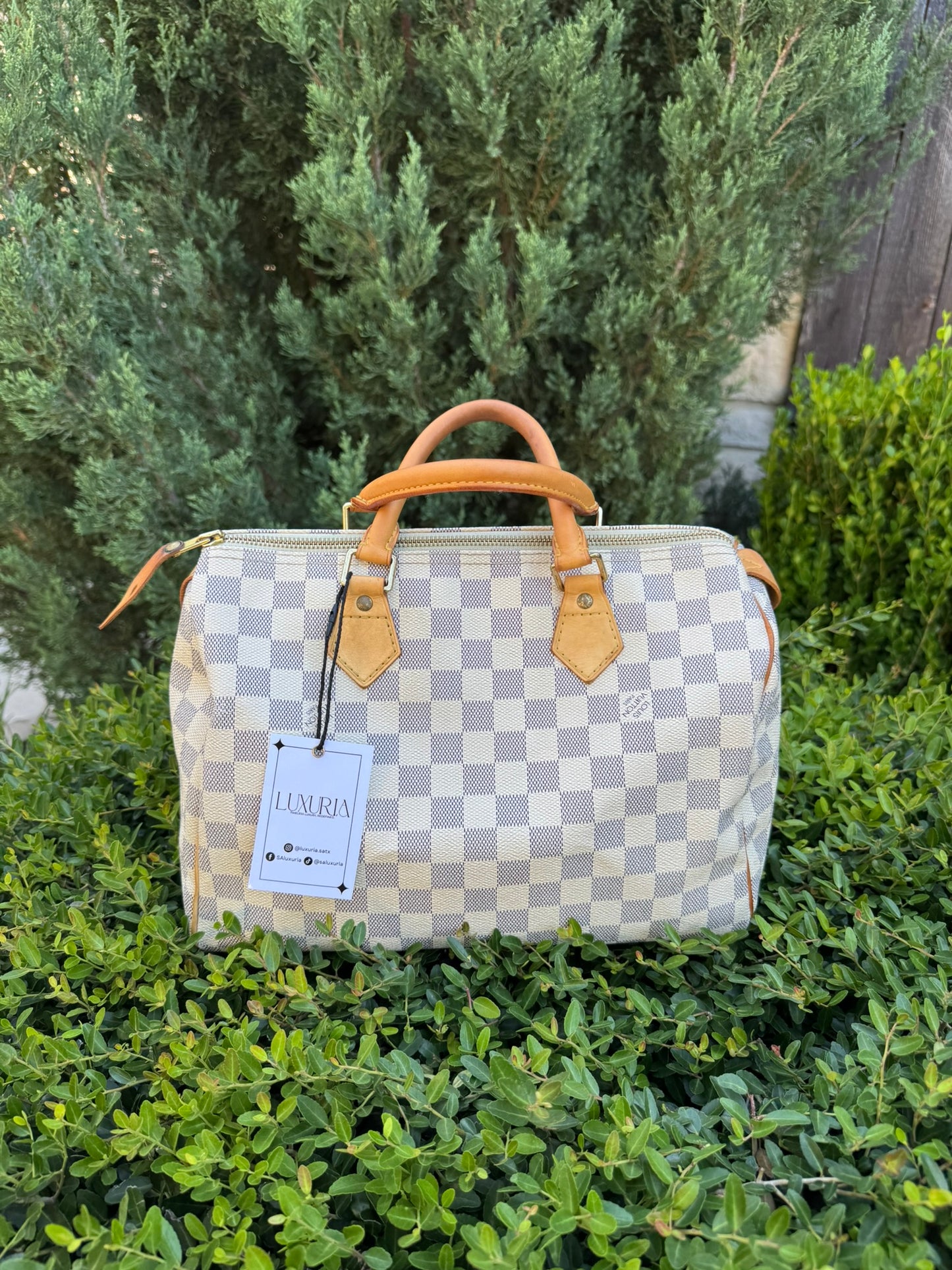 Louis Vuitton Speedy 30 in Damier Azur Canvas