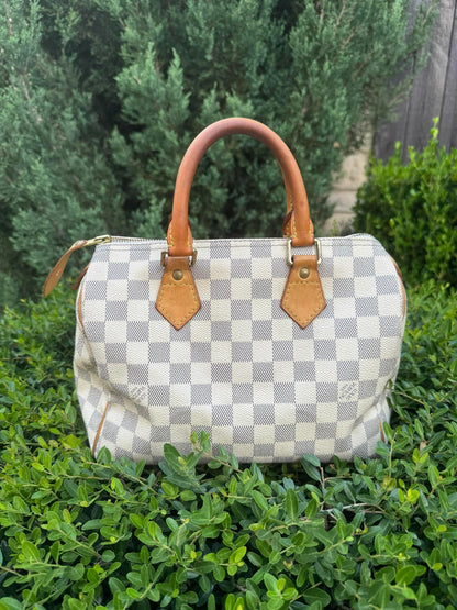 Louis Vuitton Speedy 25