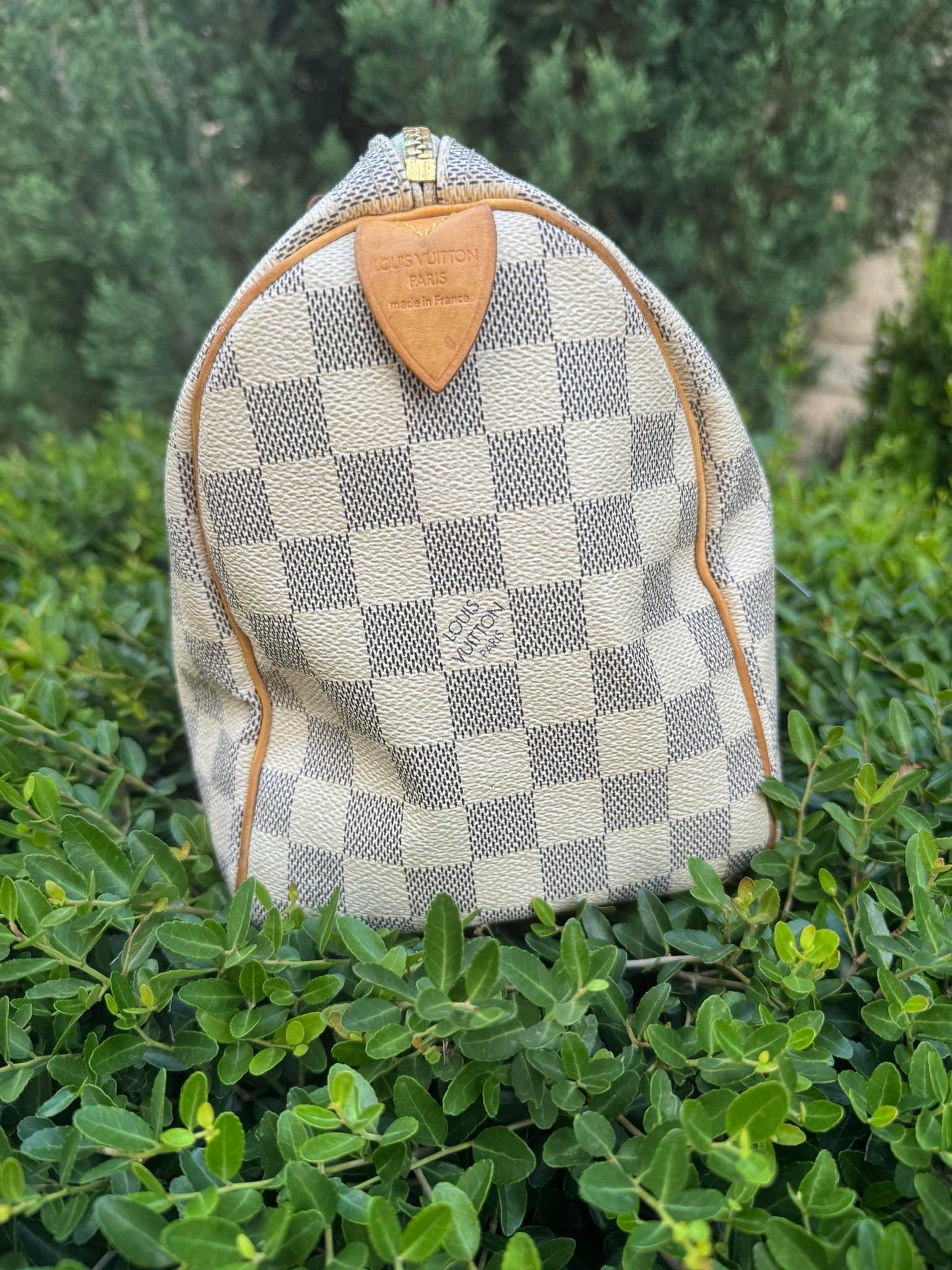 Louis Vuitton Speedy 25