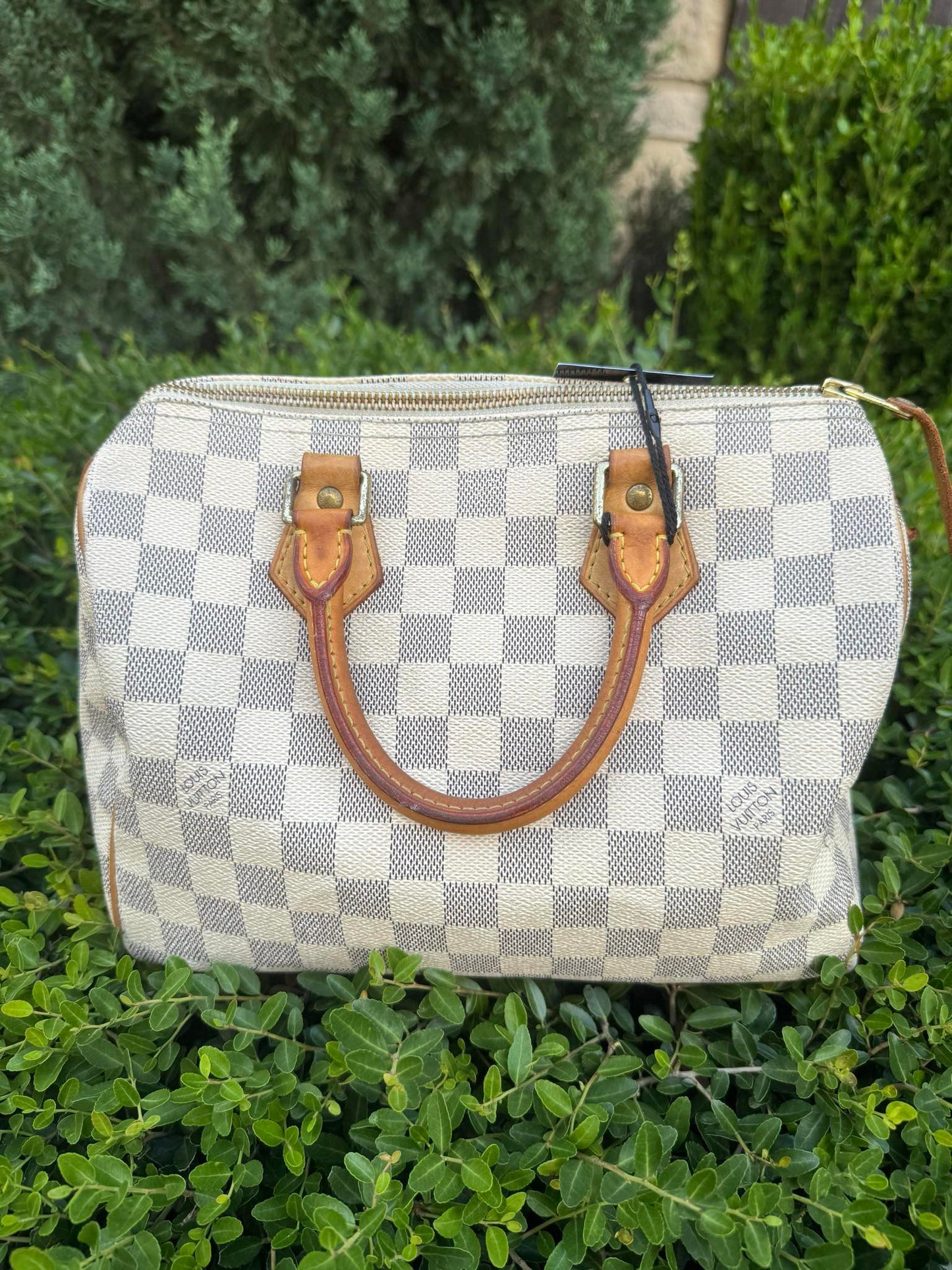 Louis Vuitton Speedy 25