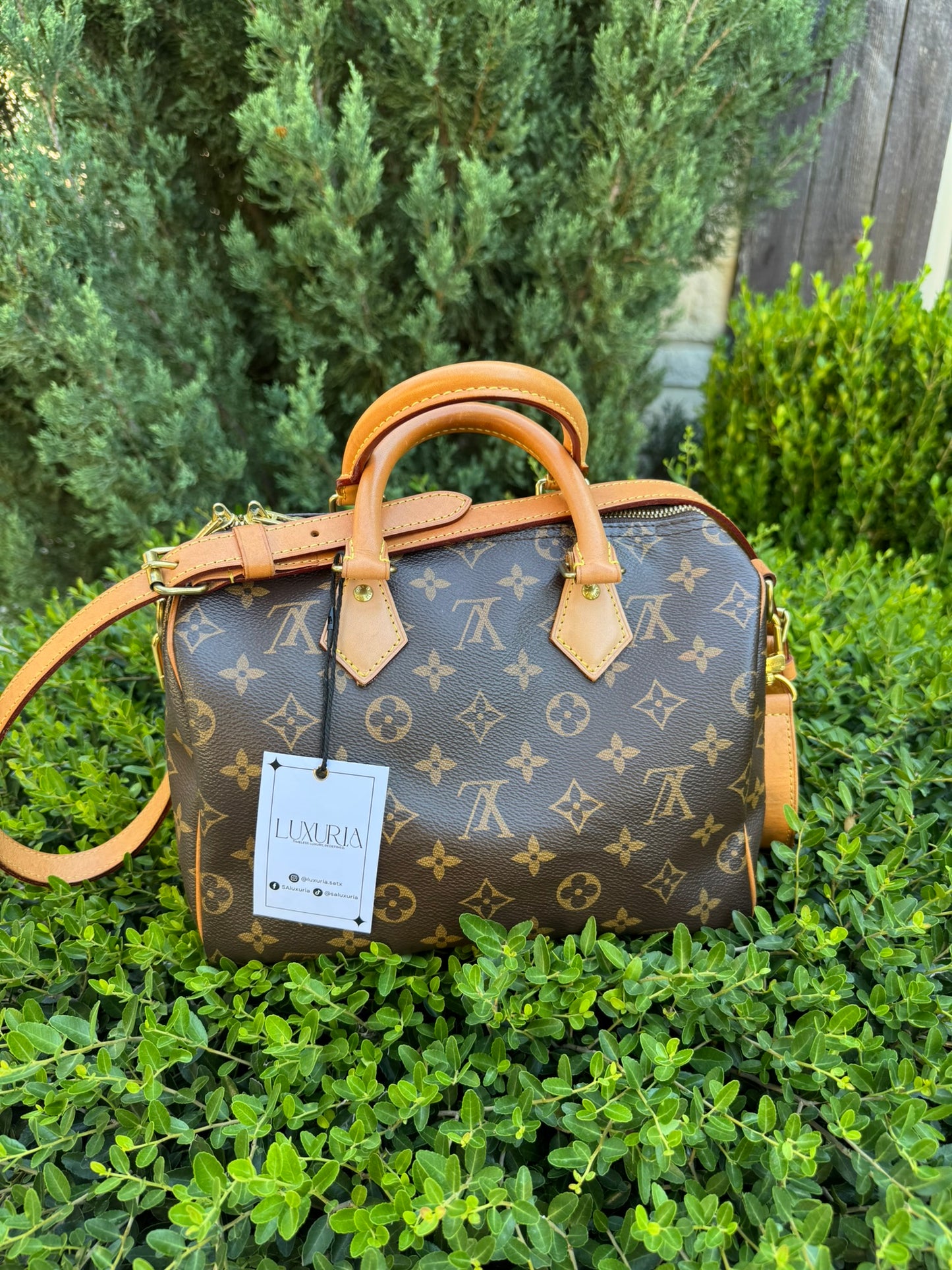 Louis Vuitton Speedy Bandoulière 25 in Monogram Canvas
