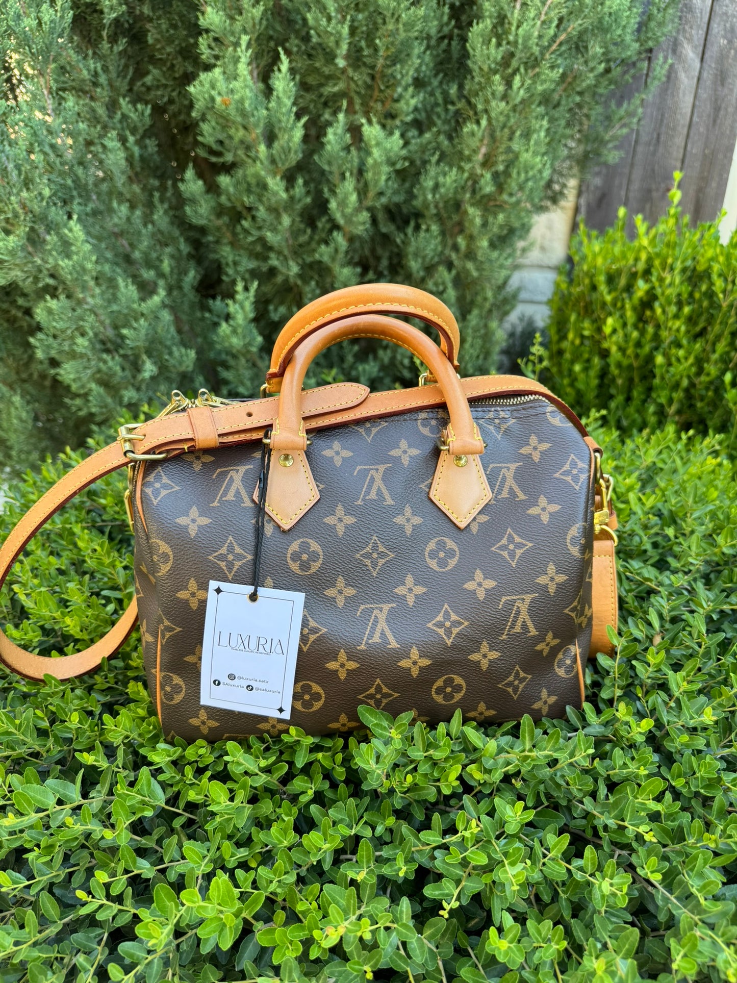 Louis Vuitton Speedy Bandoulière 25 in Monogram Canvas