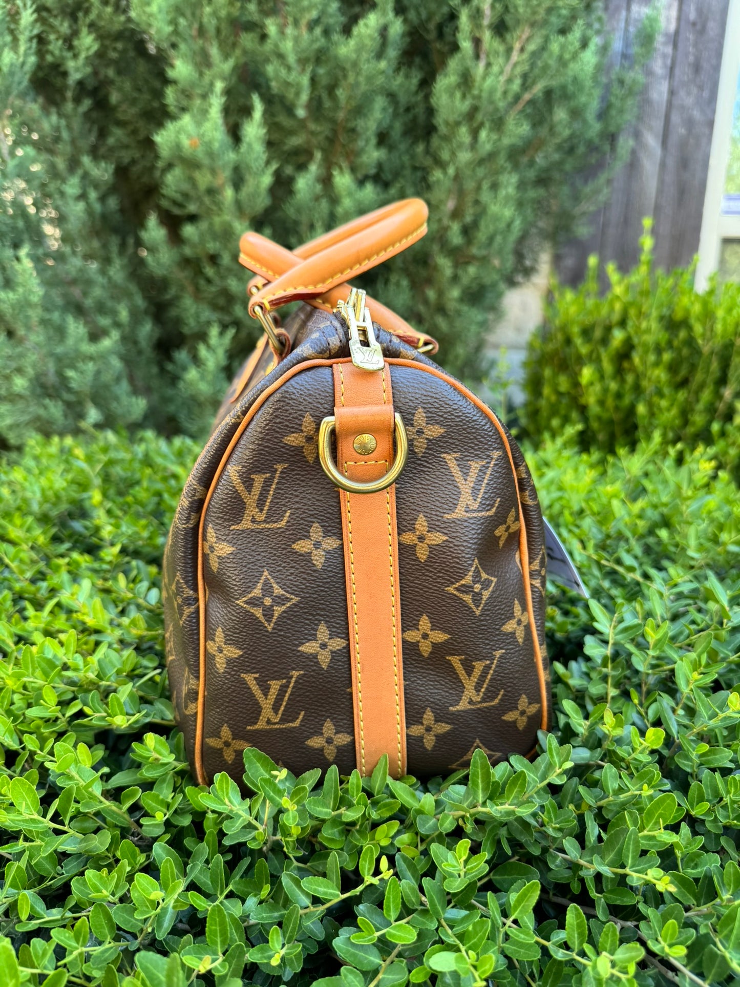 Louis Vuitton Speedy Bandoulière 25 in Monogram Canvas