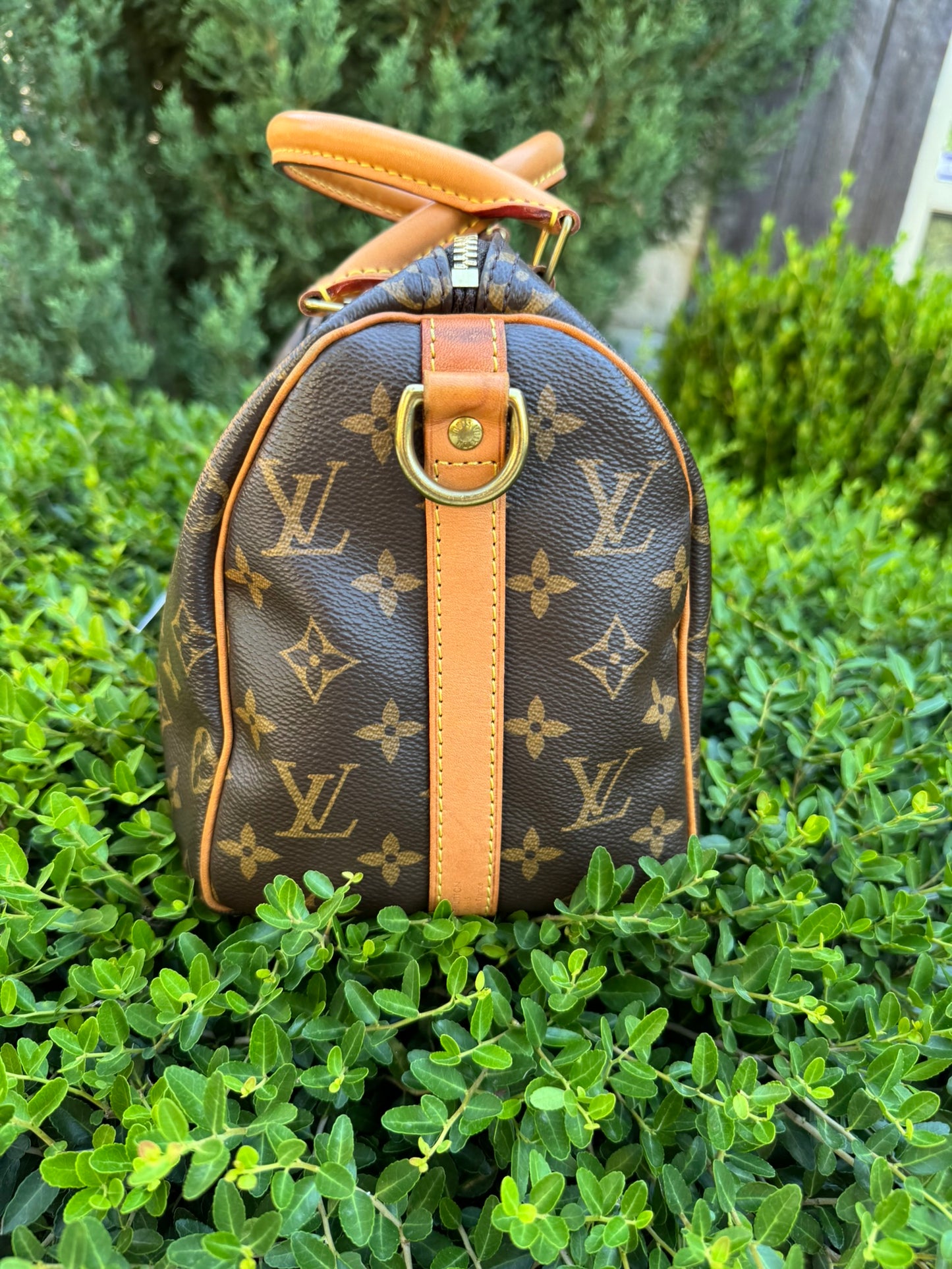 Louis Vuitton Speedy Bandoulière 25 in Monogram Canvas