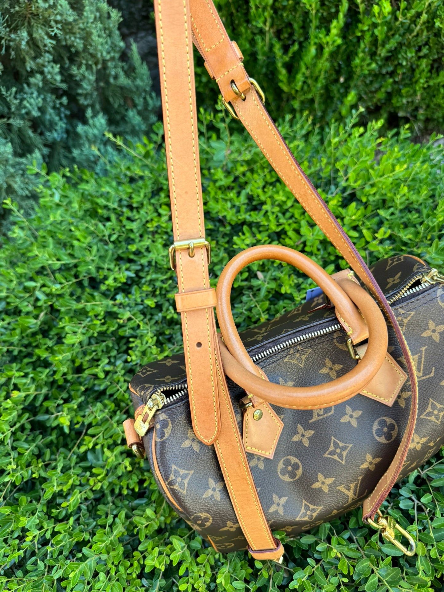Louis Vuitton Speedy Bandoulière 25 in Monogram Canvas