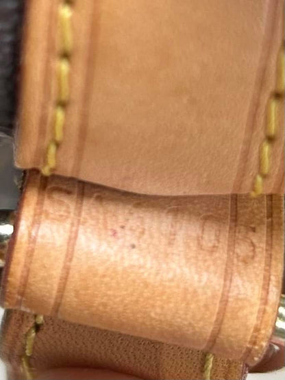 Louis Vuitton Noe Bucket BB