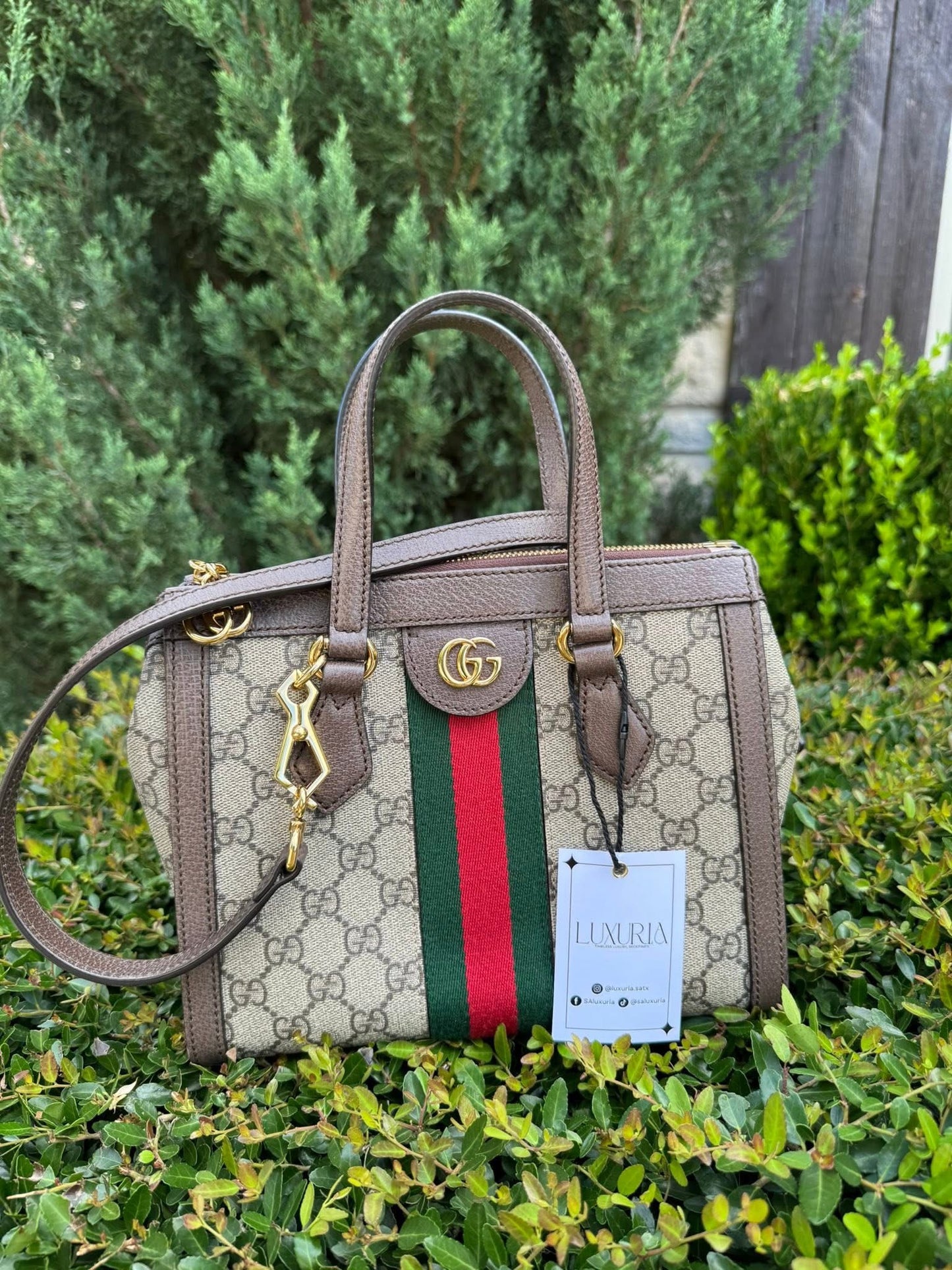 Gucci Ophidia Small Tote in Beige/Ebony GG Supreme