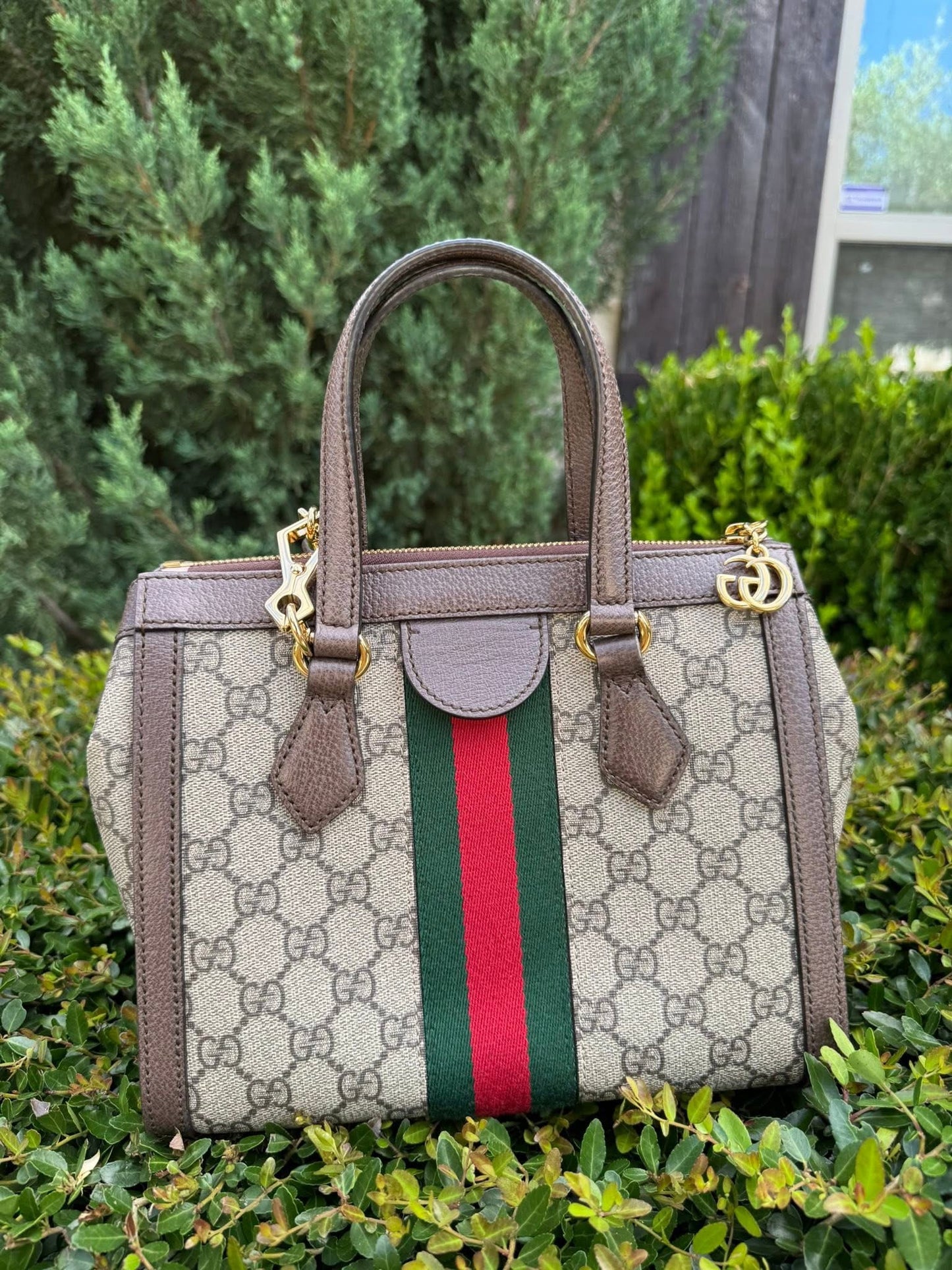 Gucci Ophidia Small Tote in Beige/Ebony GG Supreme