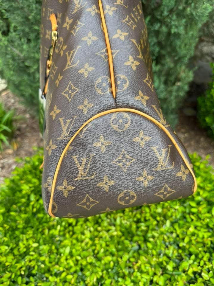 Louis Vuitton Delightful GM – Monogram Canvas